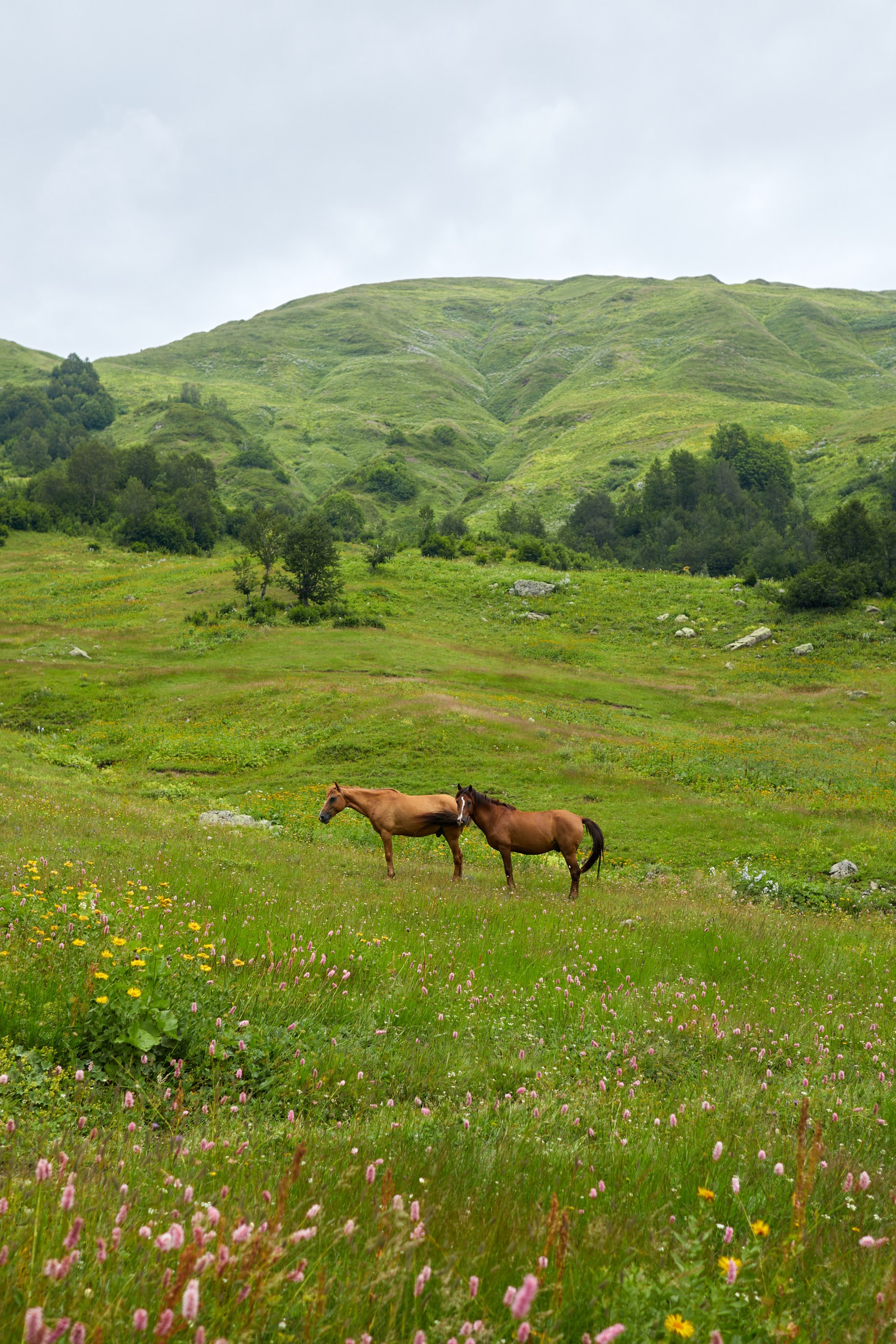 Места. RetroChic Фото