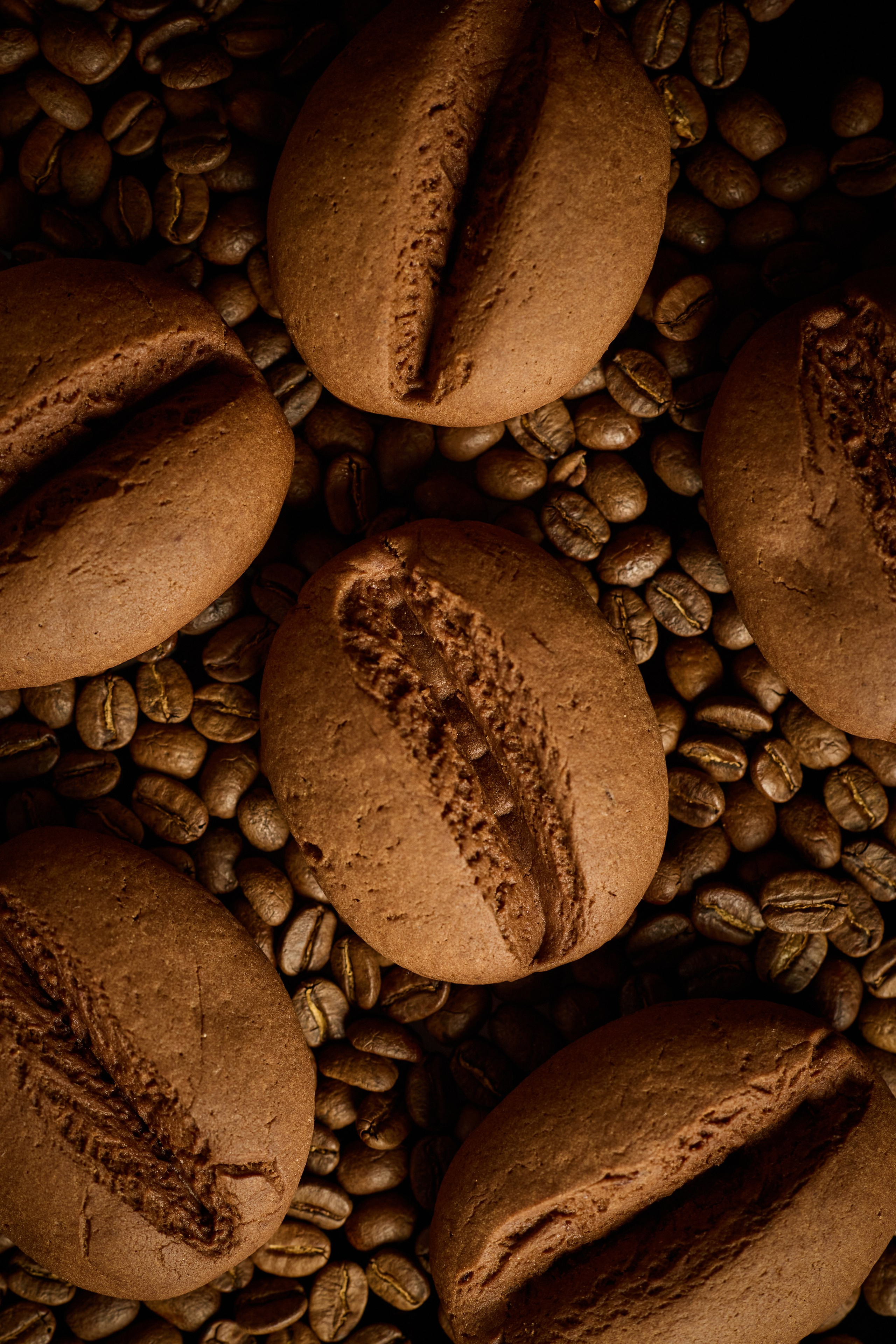 Фотосесия для Альбины в Армавире. Фотограф Николай Манвелов. Свадебный фотограф в Армавире Николай Манвелов