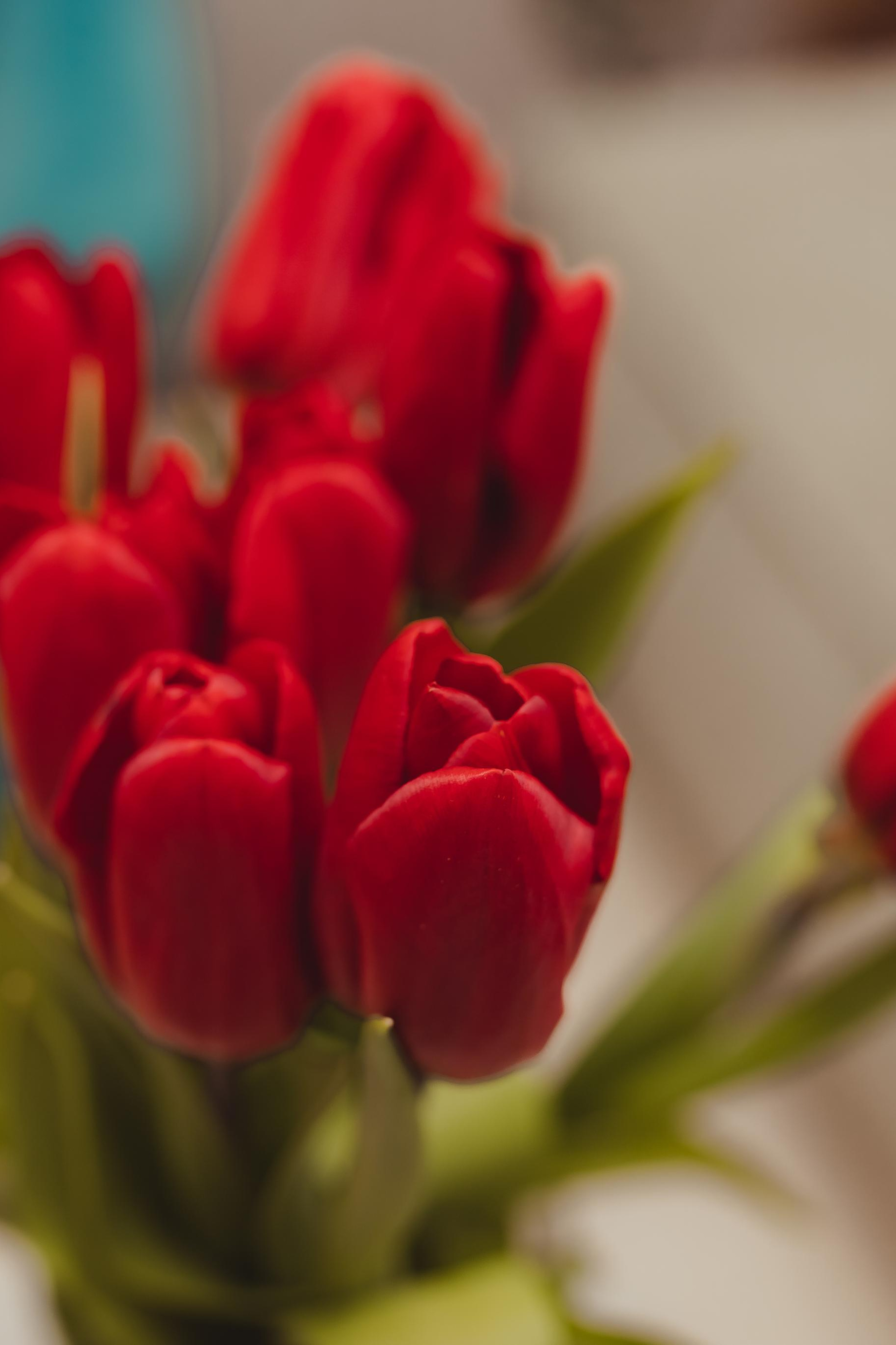 Открытие салона «Три расчески» Мытищи