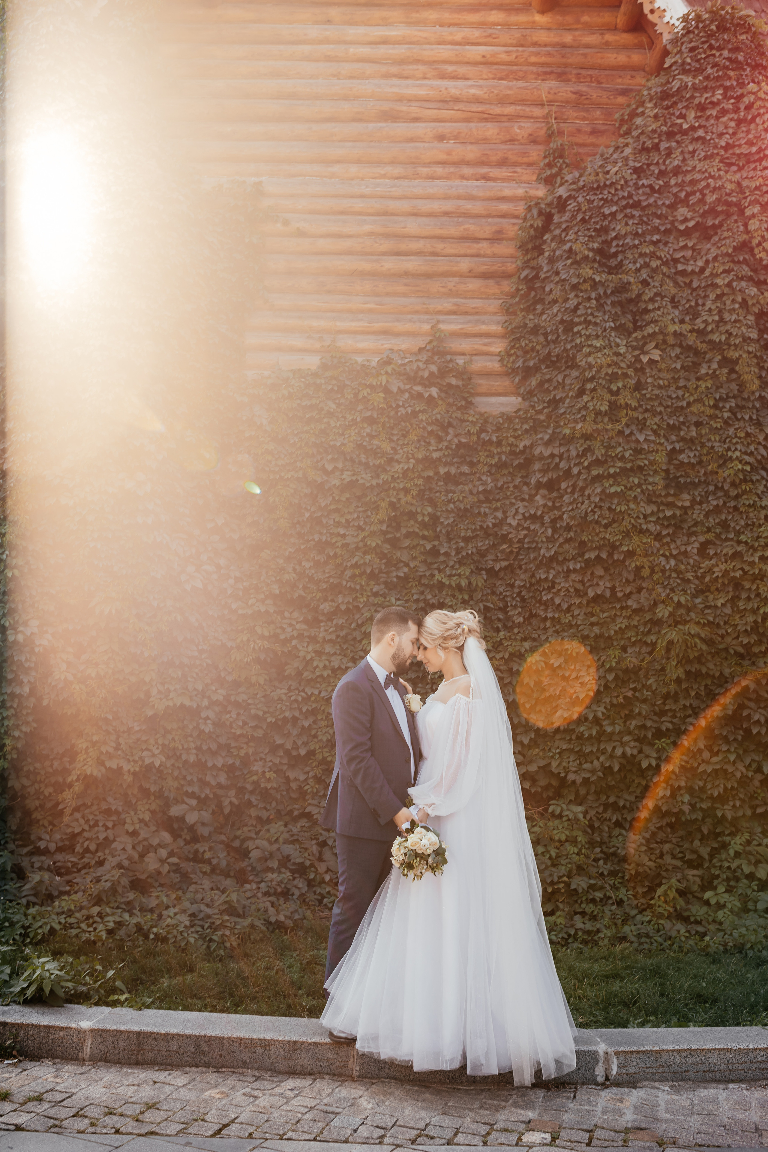 Дмитрий & Вероника