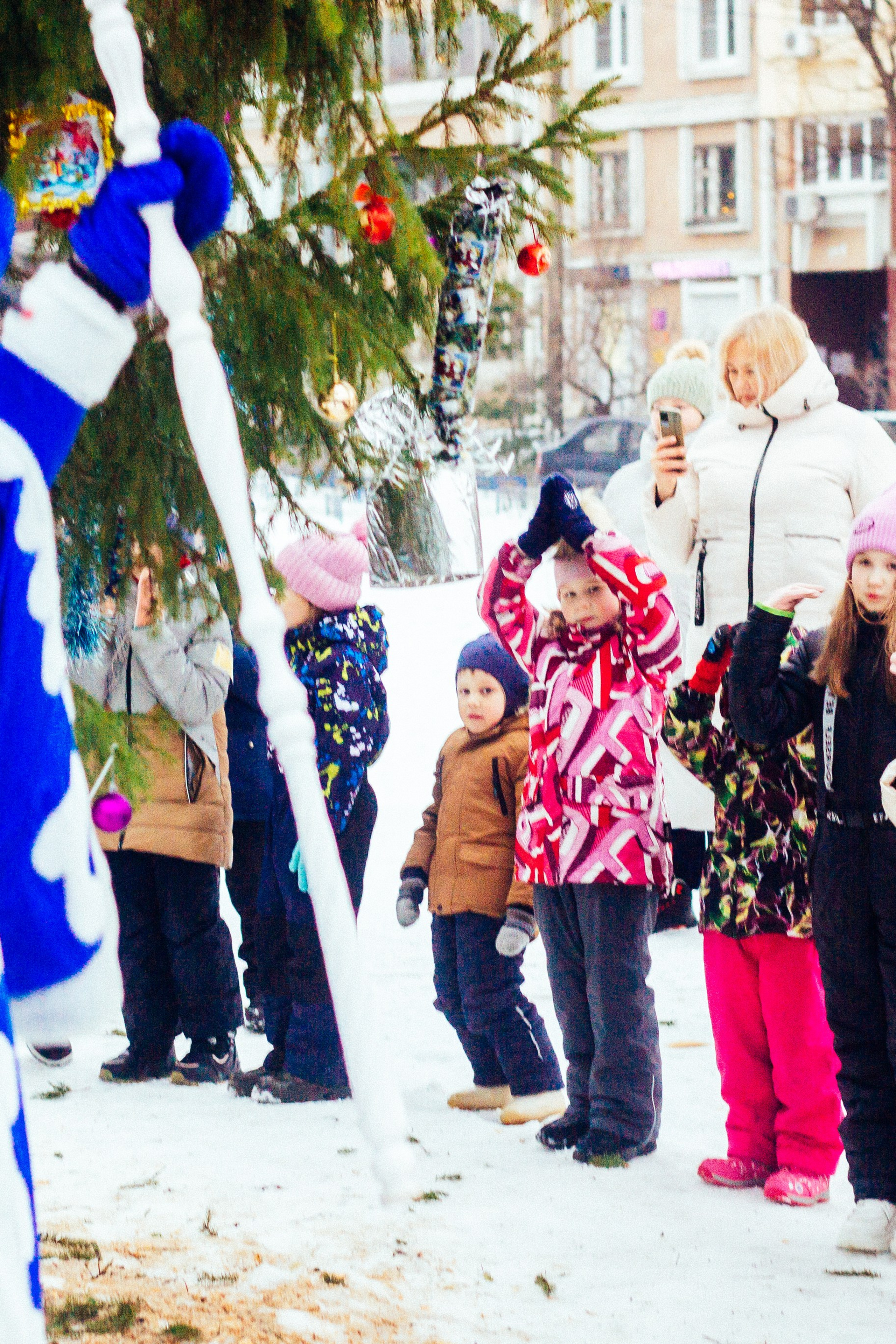 Дворовая ёлка