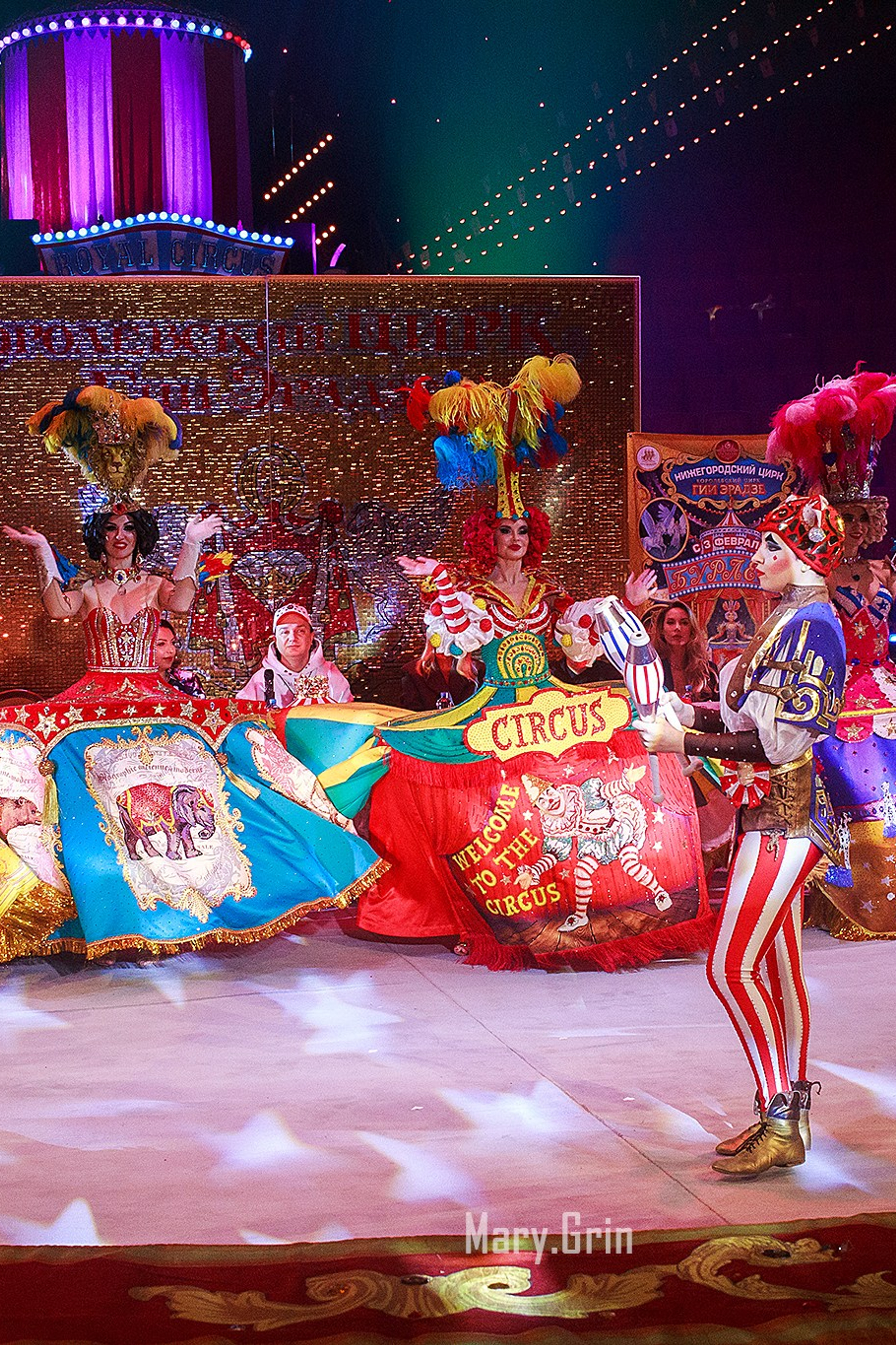 Цирк Гии Эрадзе