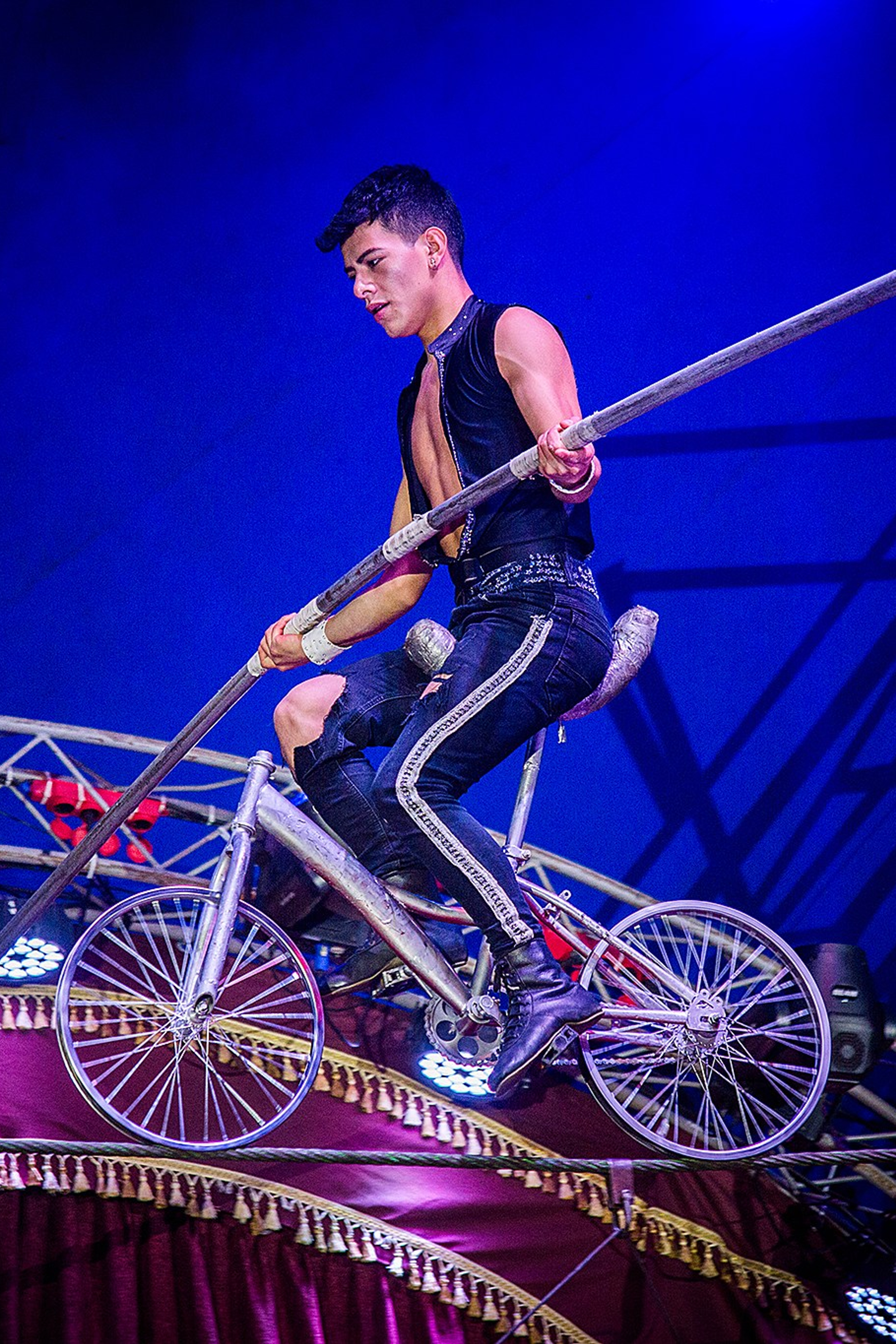 Шоу Демидовых