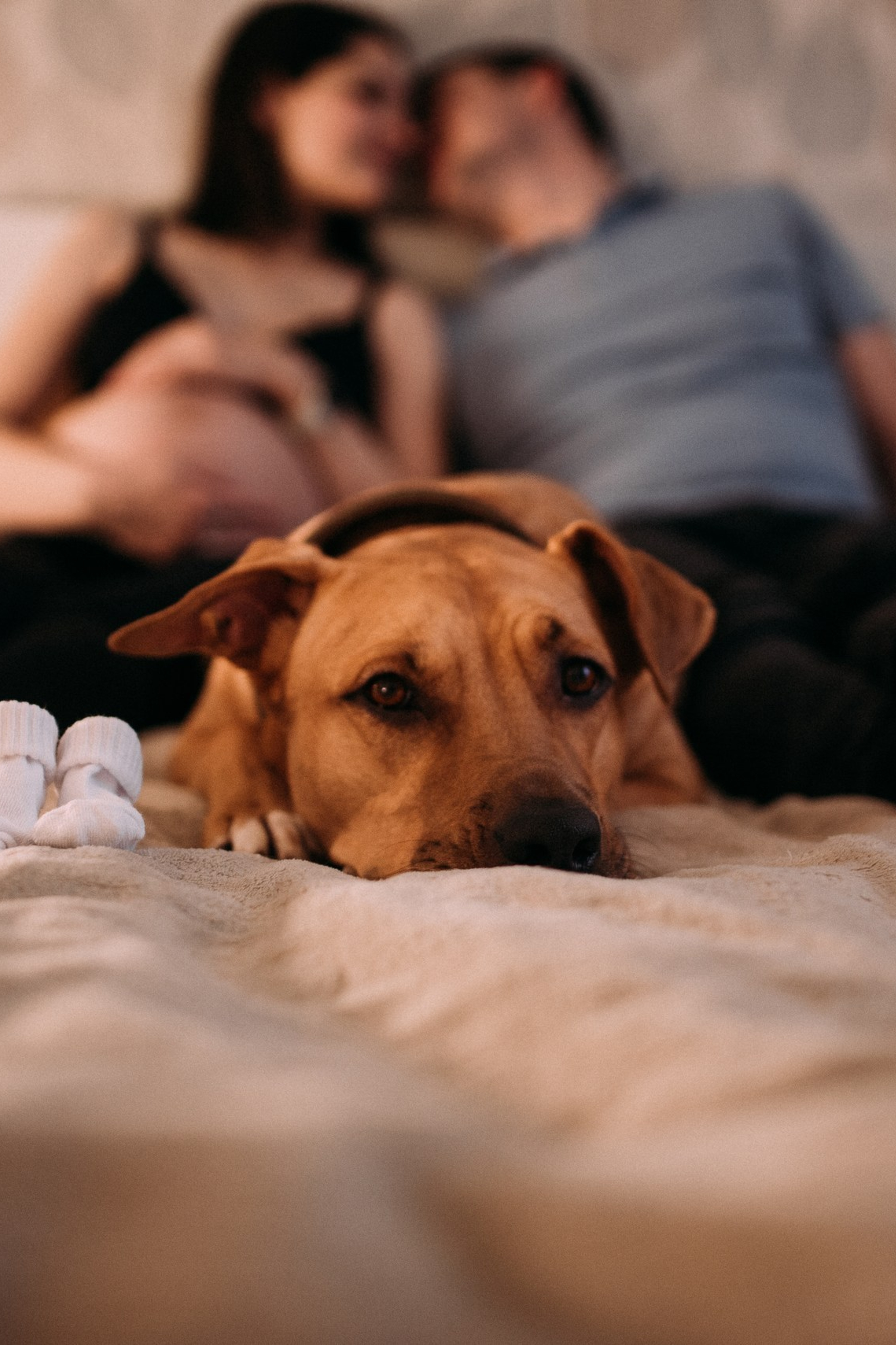 Отзывы. Свадебный и портретный фотограф Диана Першай