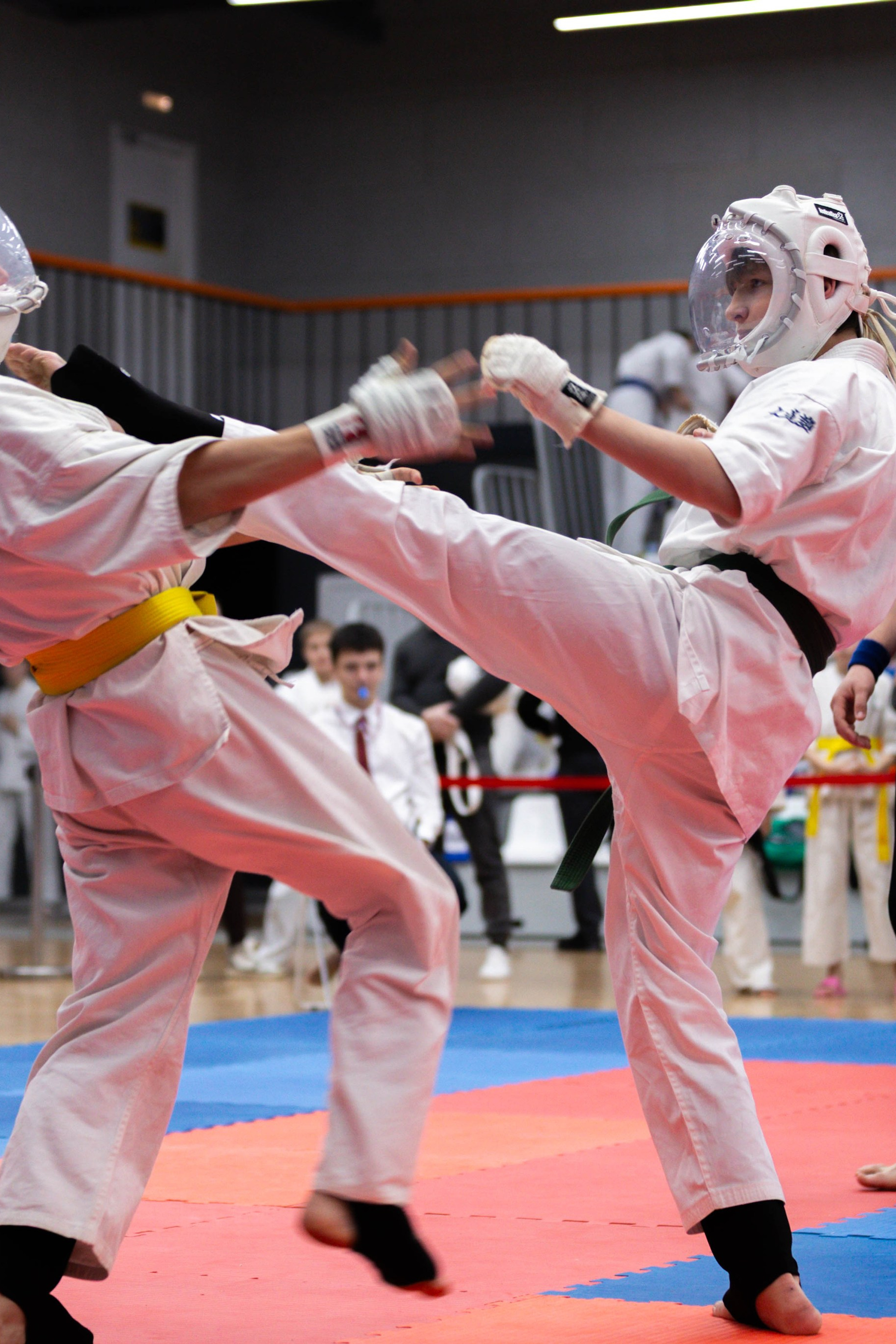 Первенство области по кудо