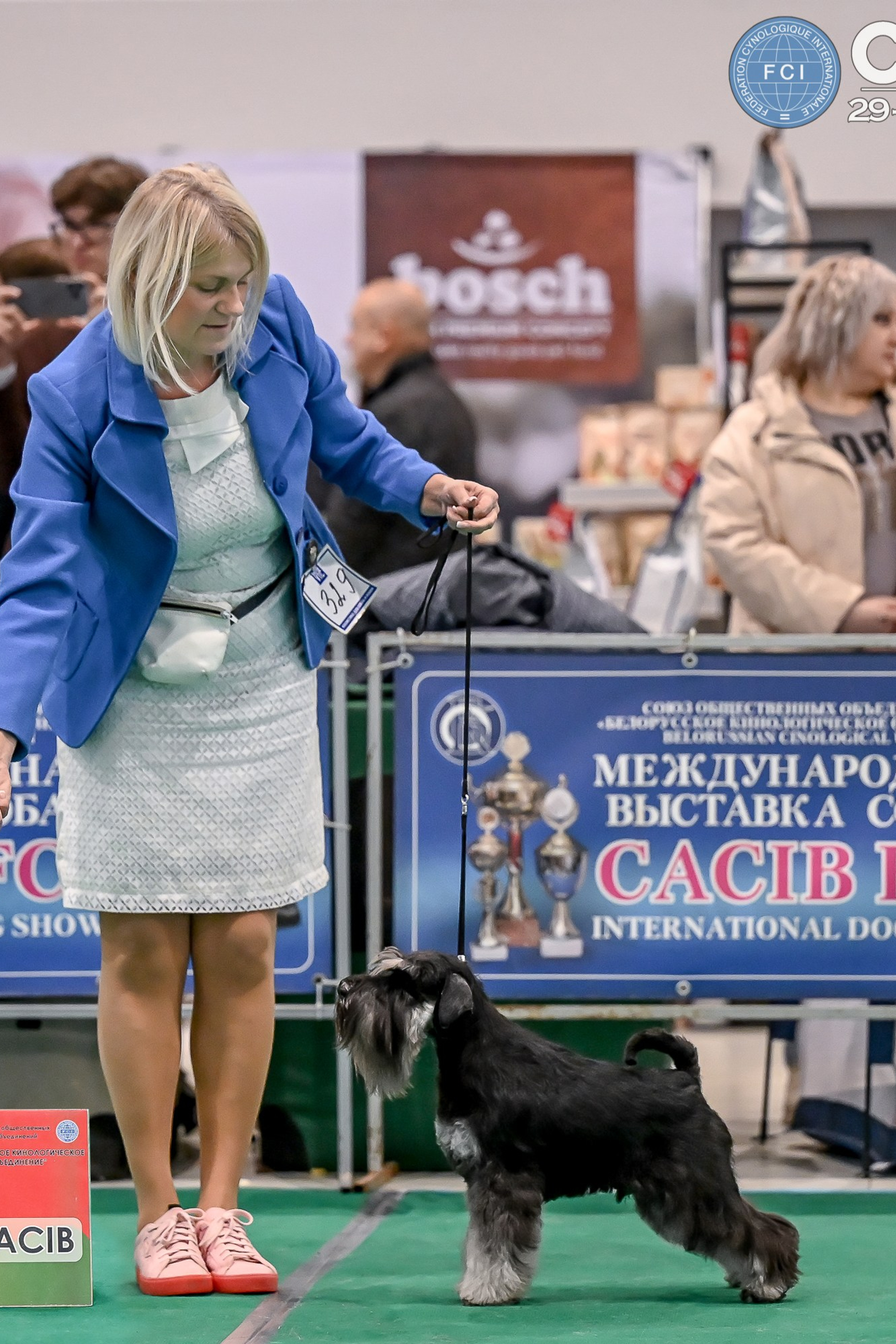 НОВОСТИ. Питомник цвергшнауцеров в Беларуси «Делинсо Бэлэнс»