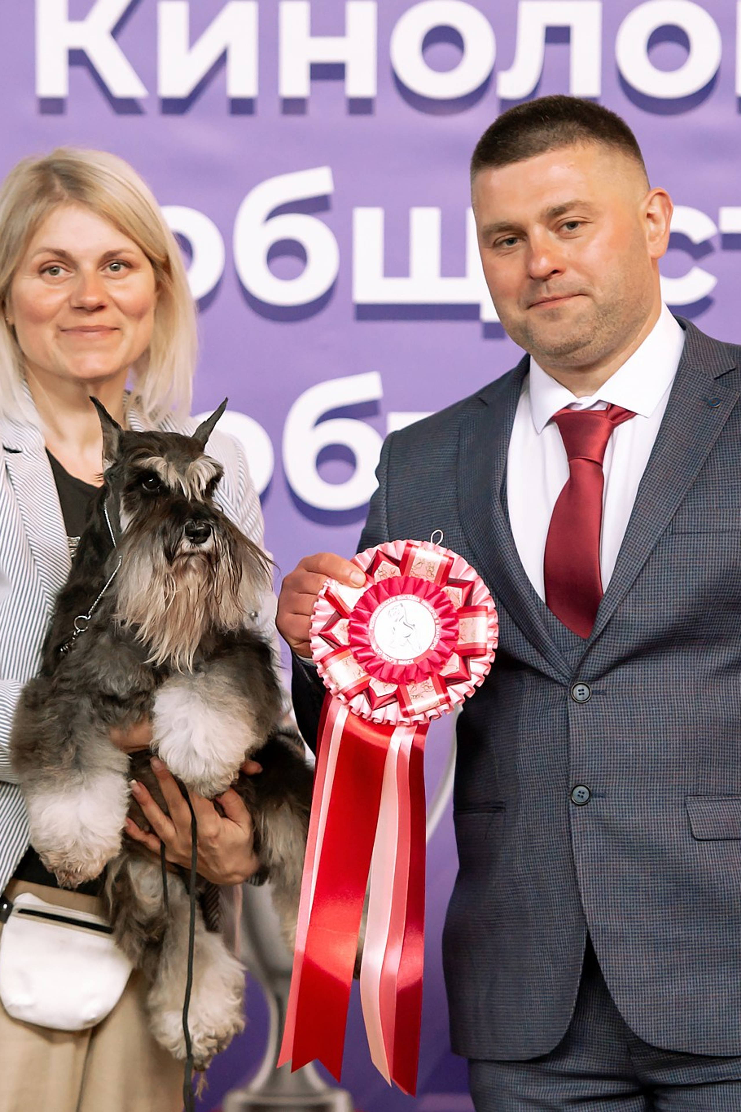 НОВОСТИ. Питомник цвергшнауцеров в Беларуси «Делинсо Бэлэнс»