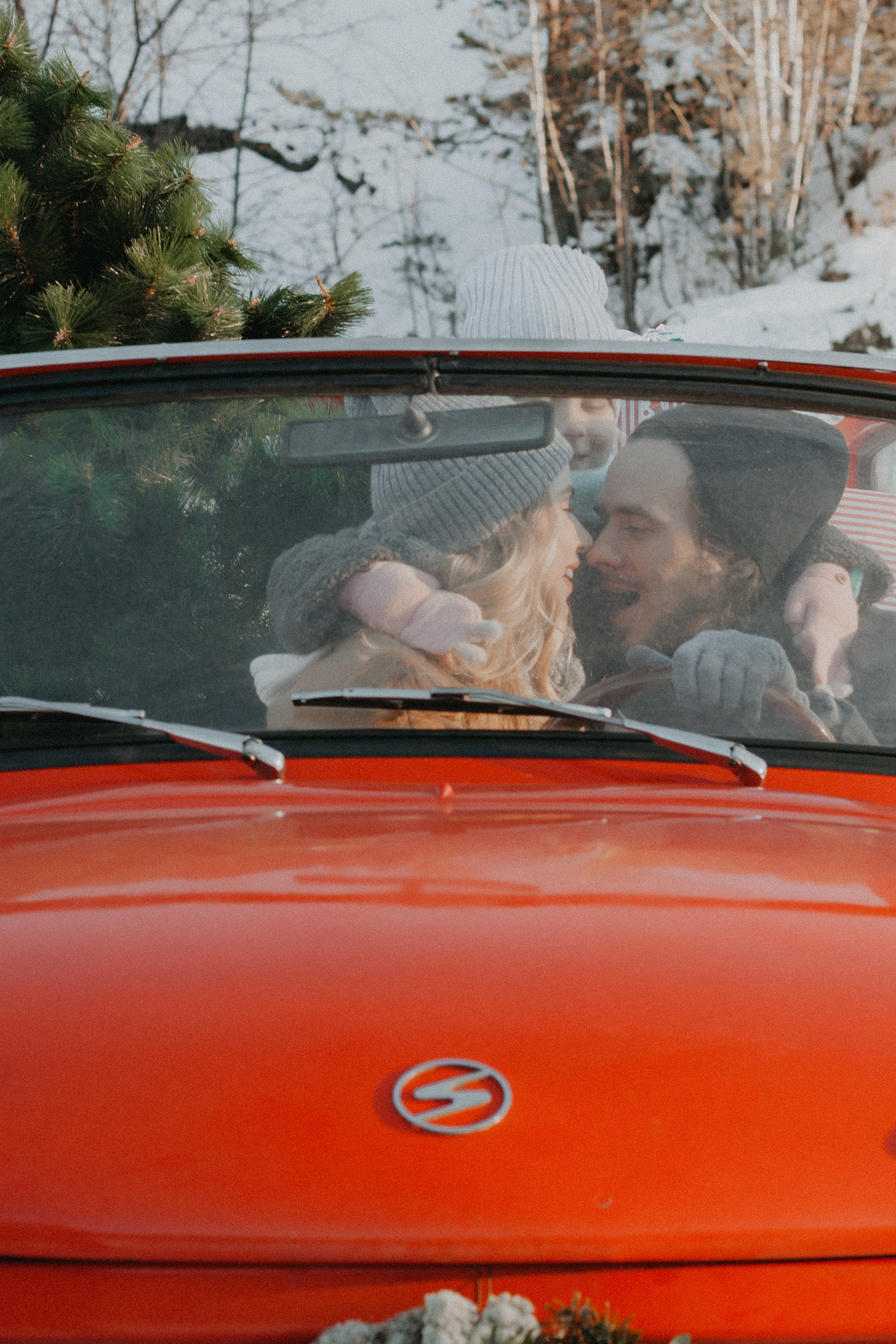 Поездка за елкой