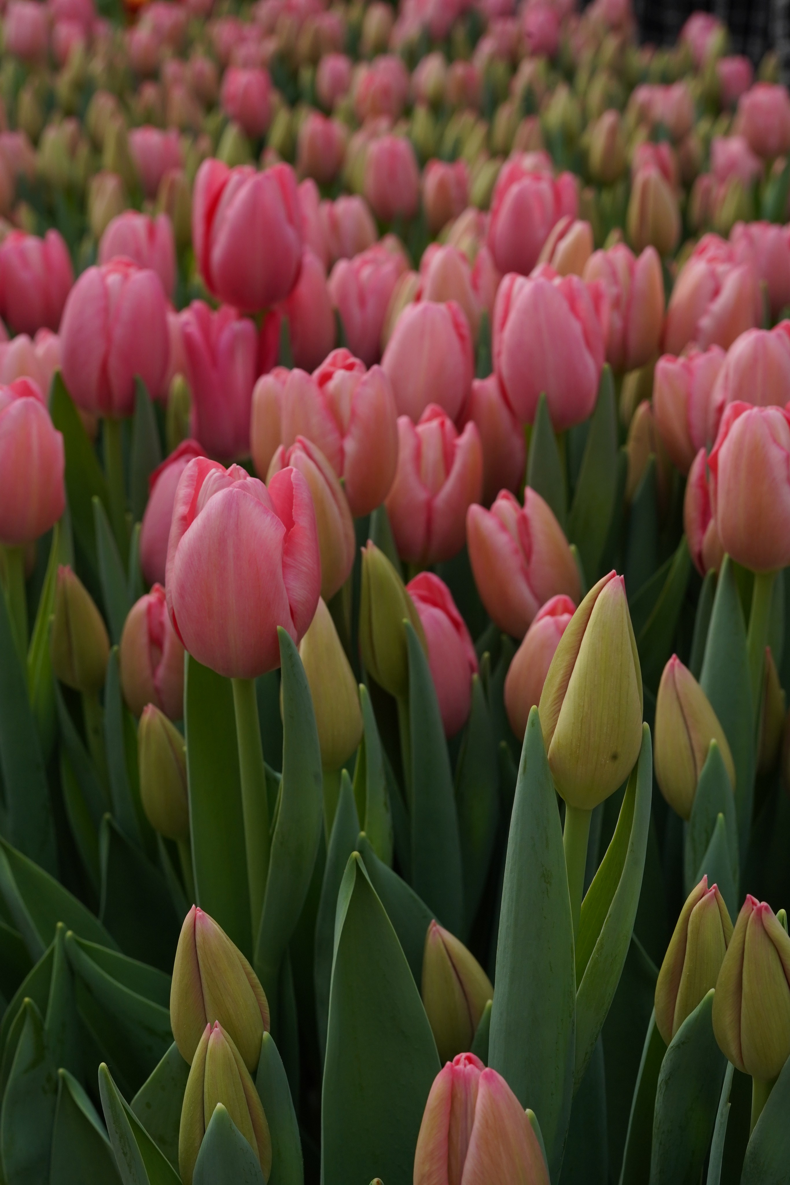 Отзывы. Фотограф в Астрахани • Фото-туры • Виктория Герма