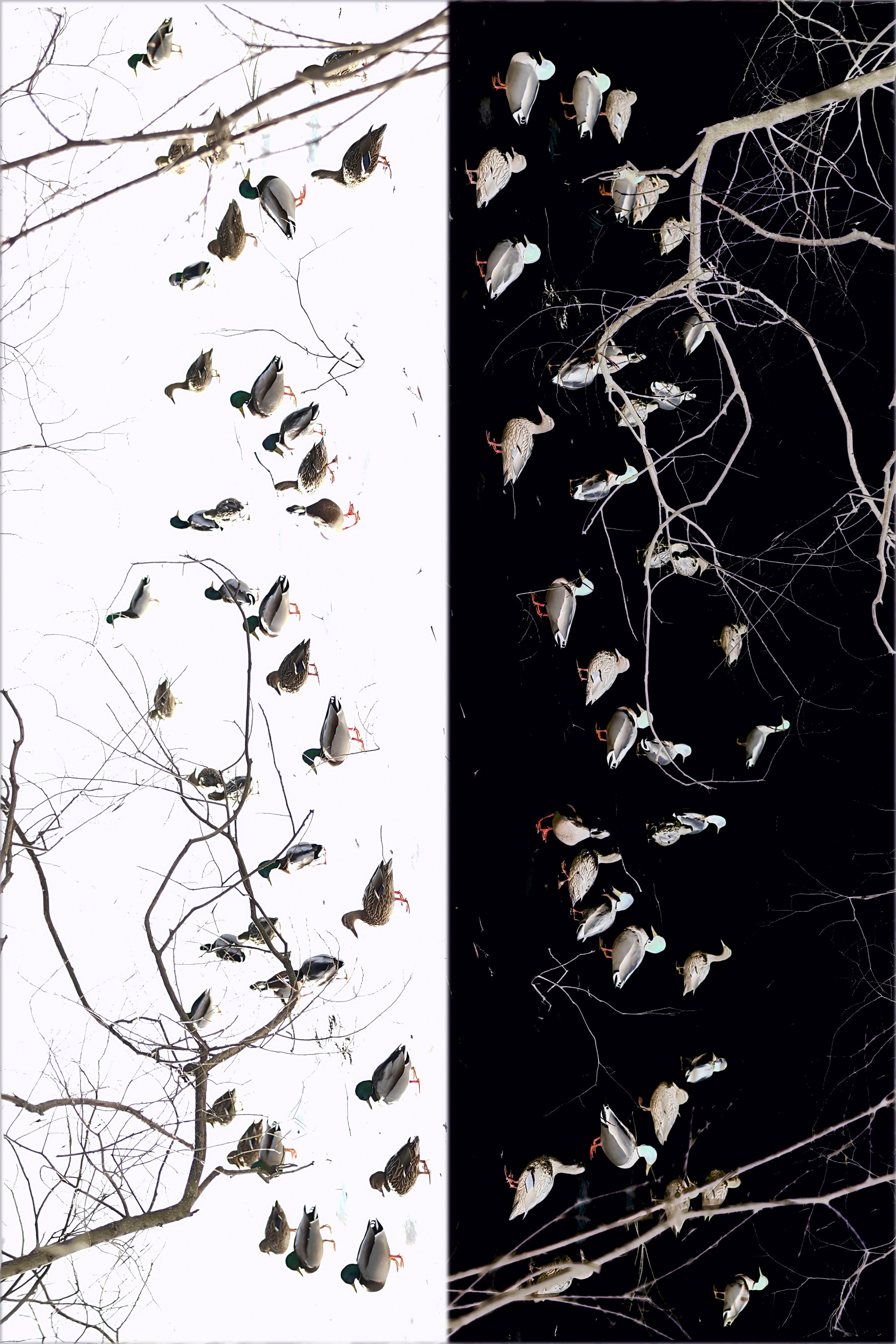 АРТ ФОТОГРАФИЯ