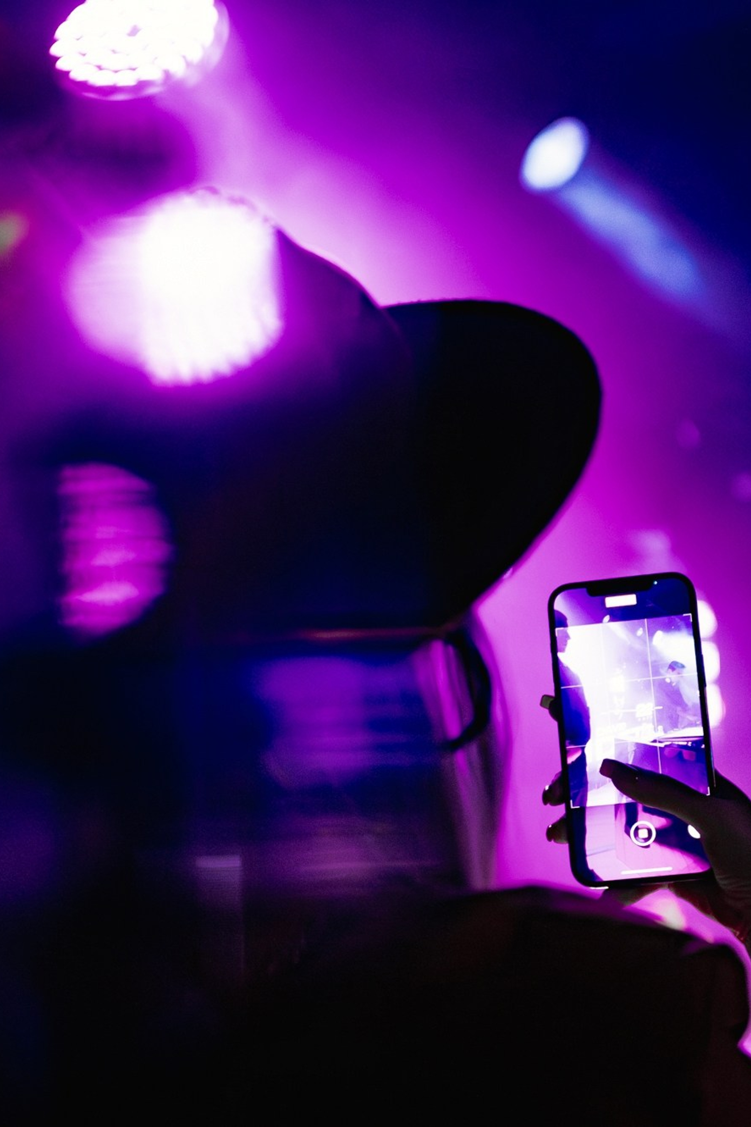 Bijou. David Vendetta