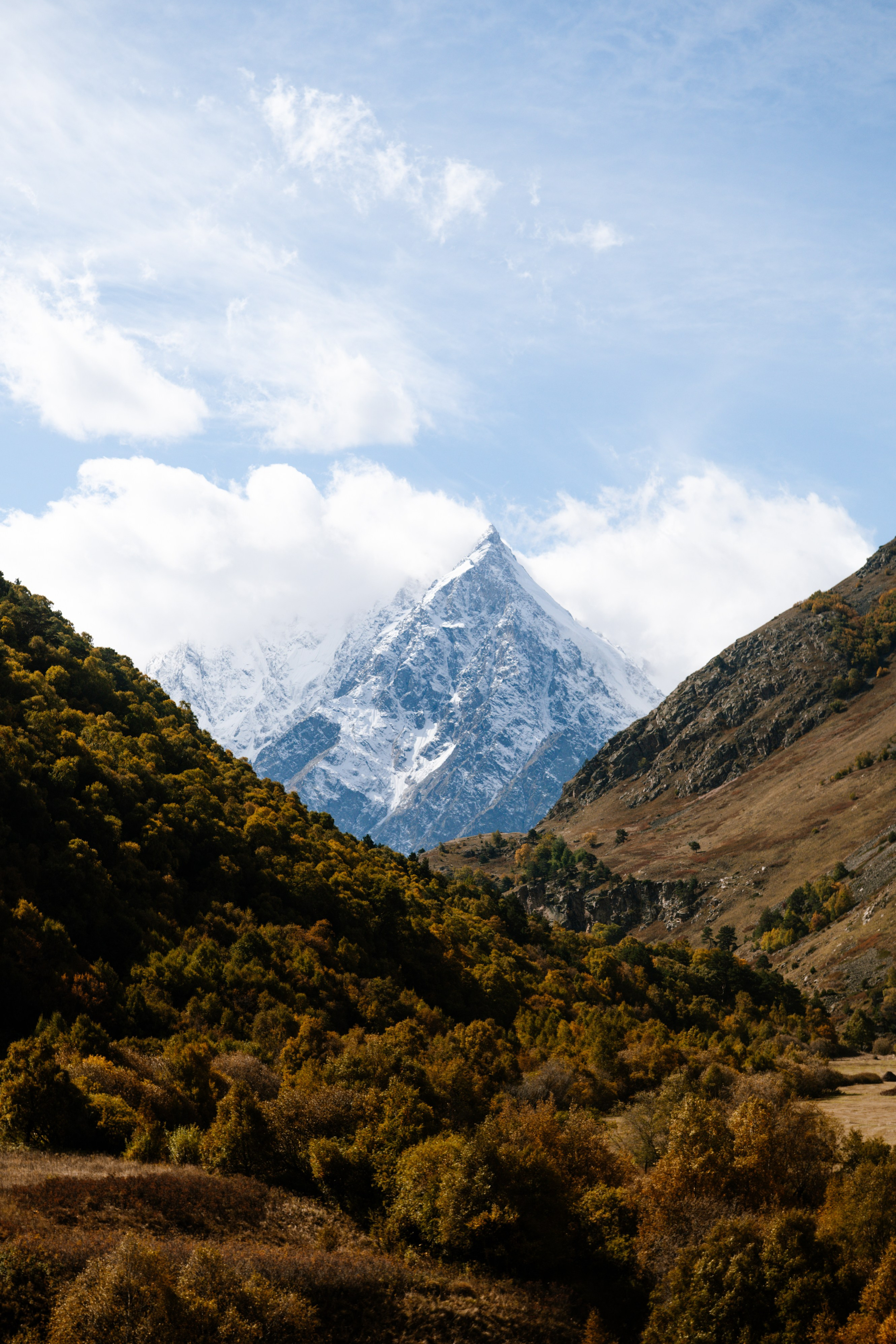 Выездные проекты