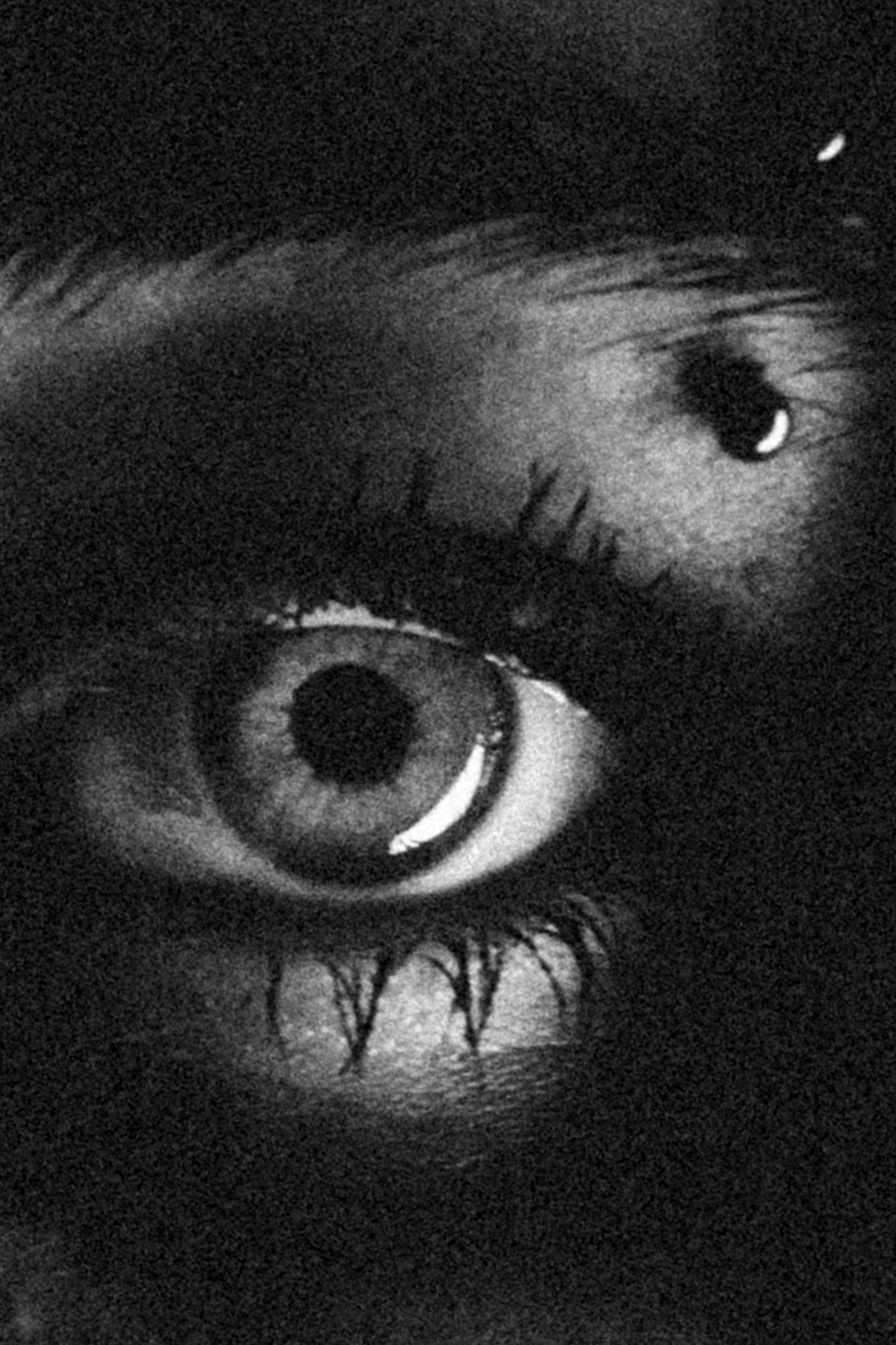 Техно машина. Оборотень