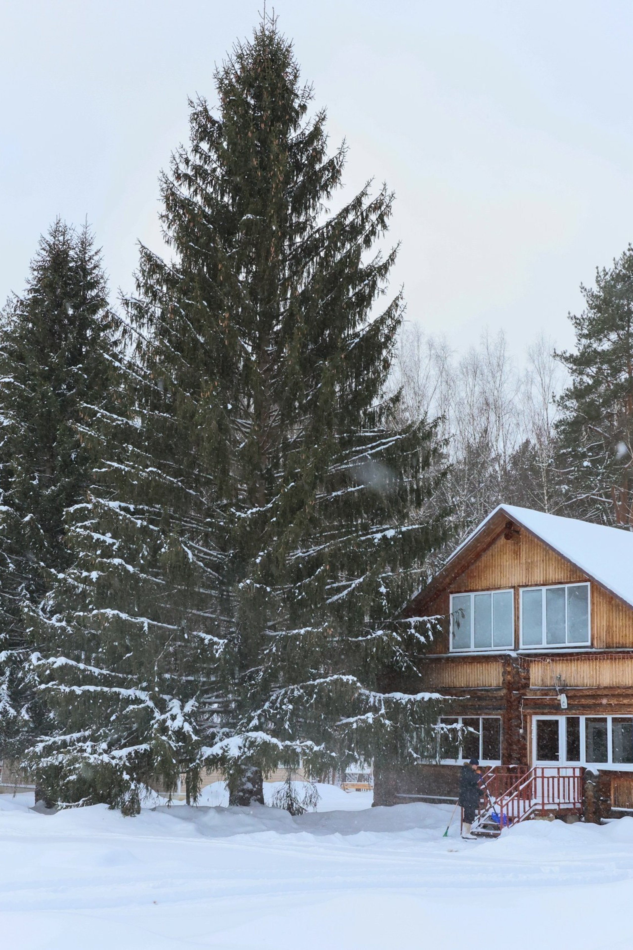База отдыха «Приокская поляна»