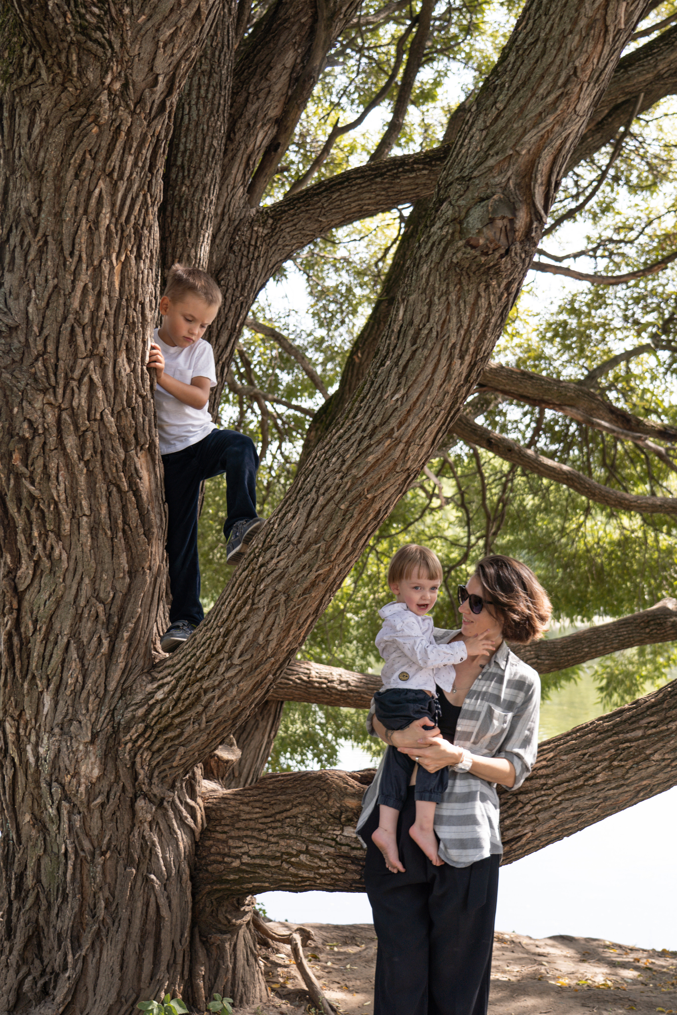 Без названия