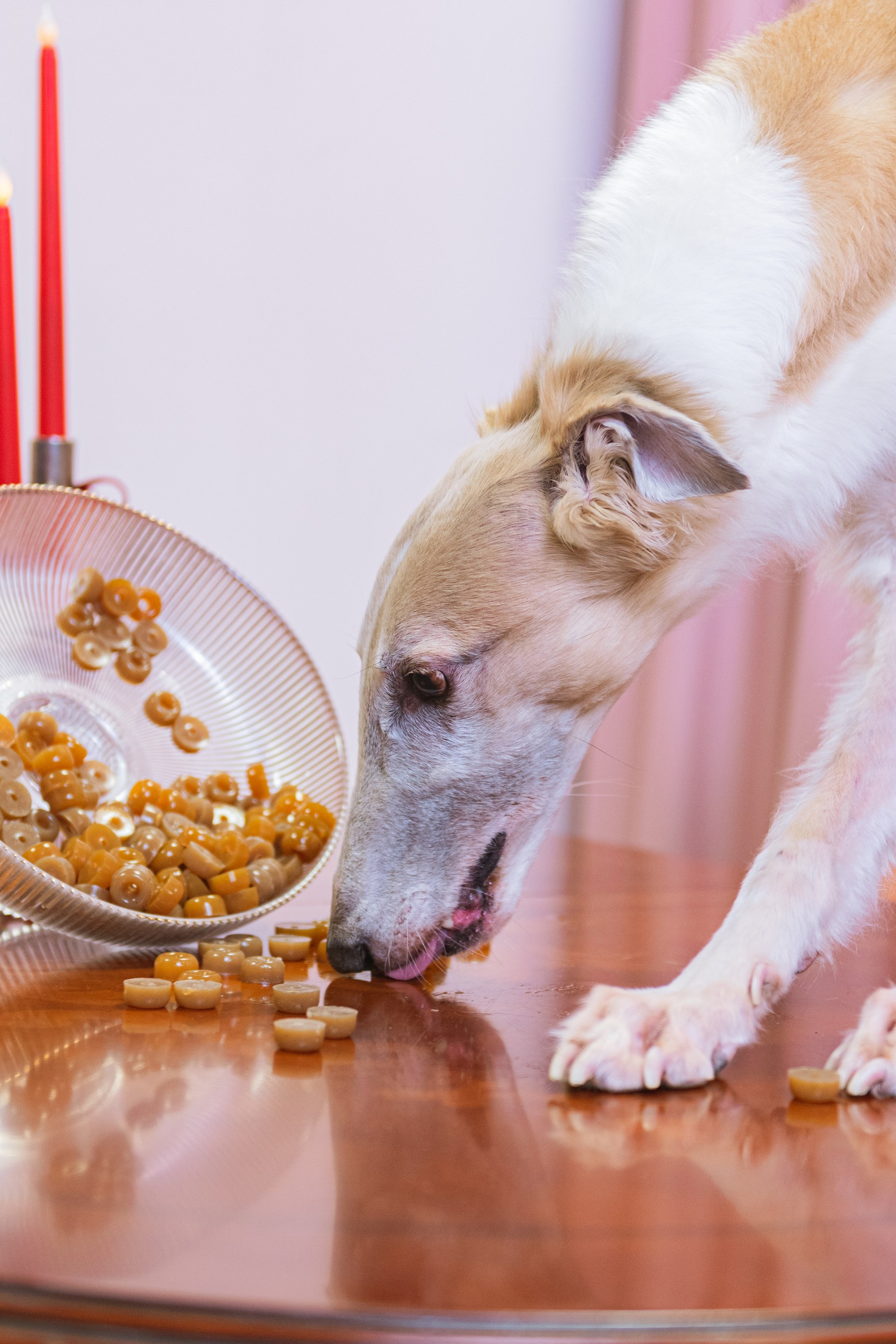 Истории. Фотограф в Москве Daria Lens