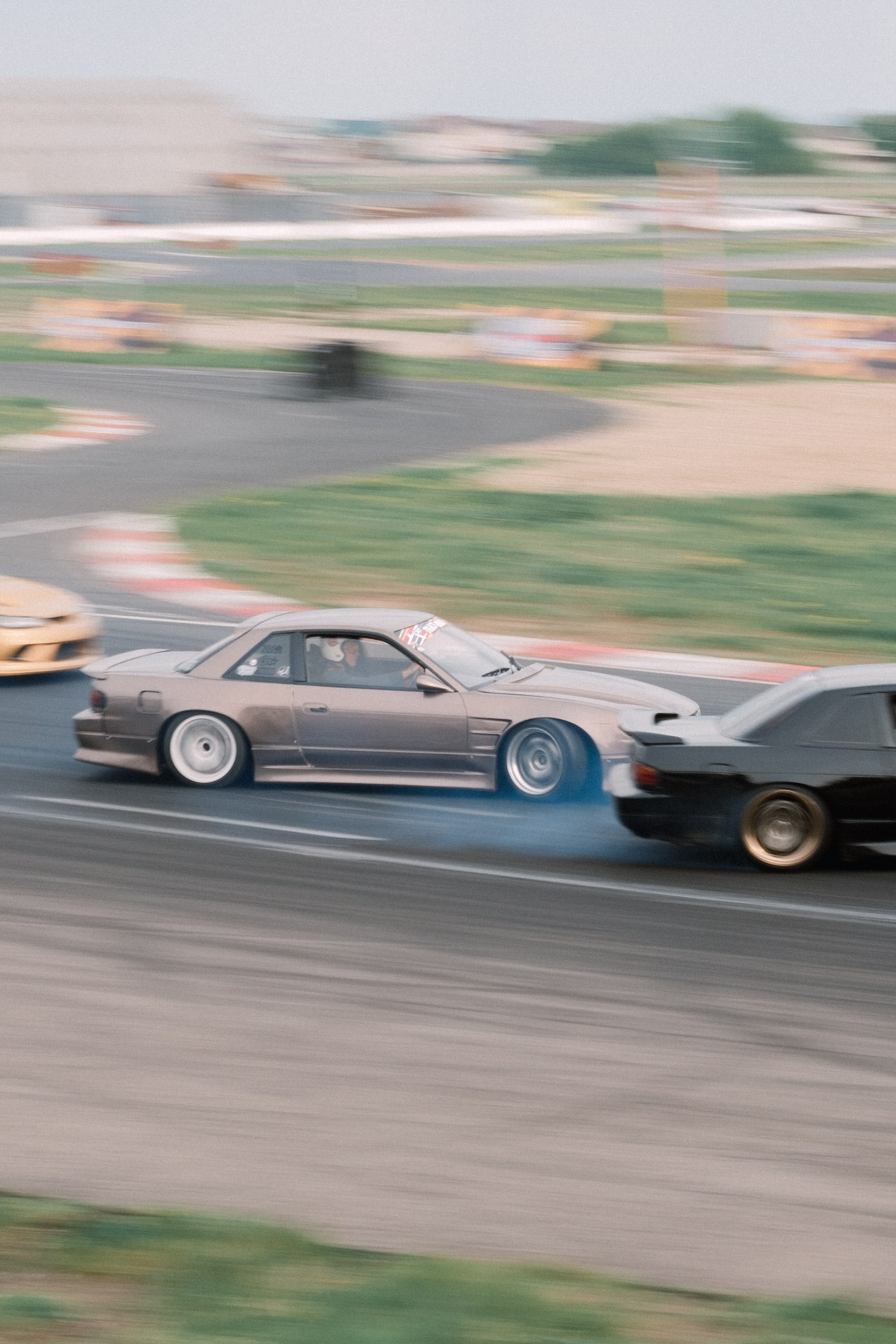 Чау Чавс. Фотограф в Москве Daria Lens