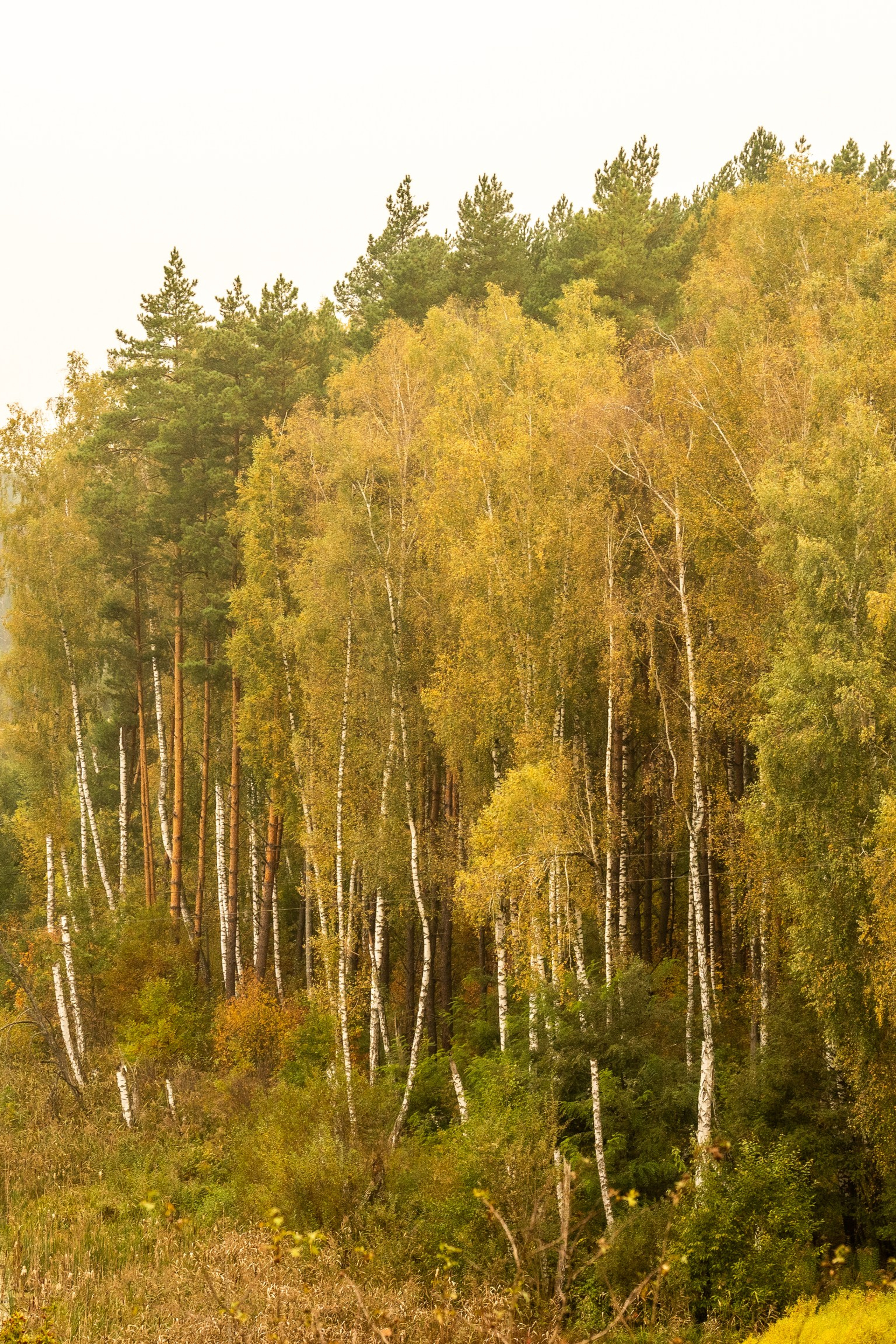 Одно сентябрьское утро