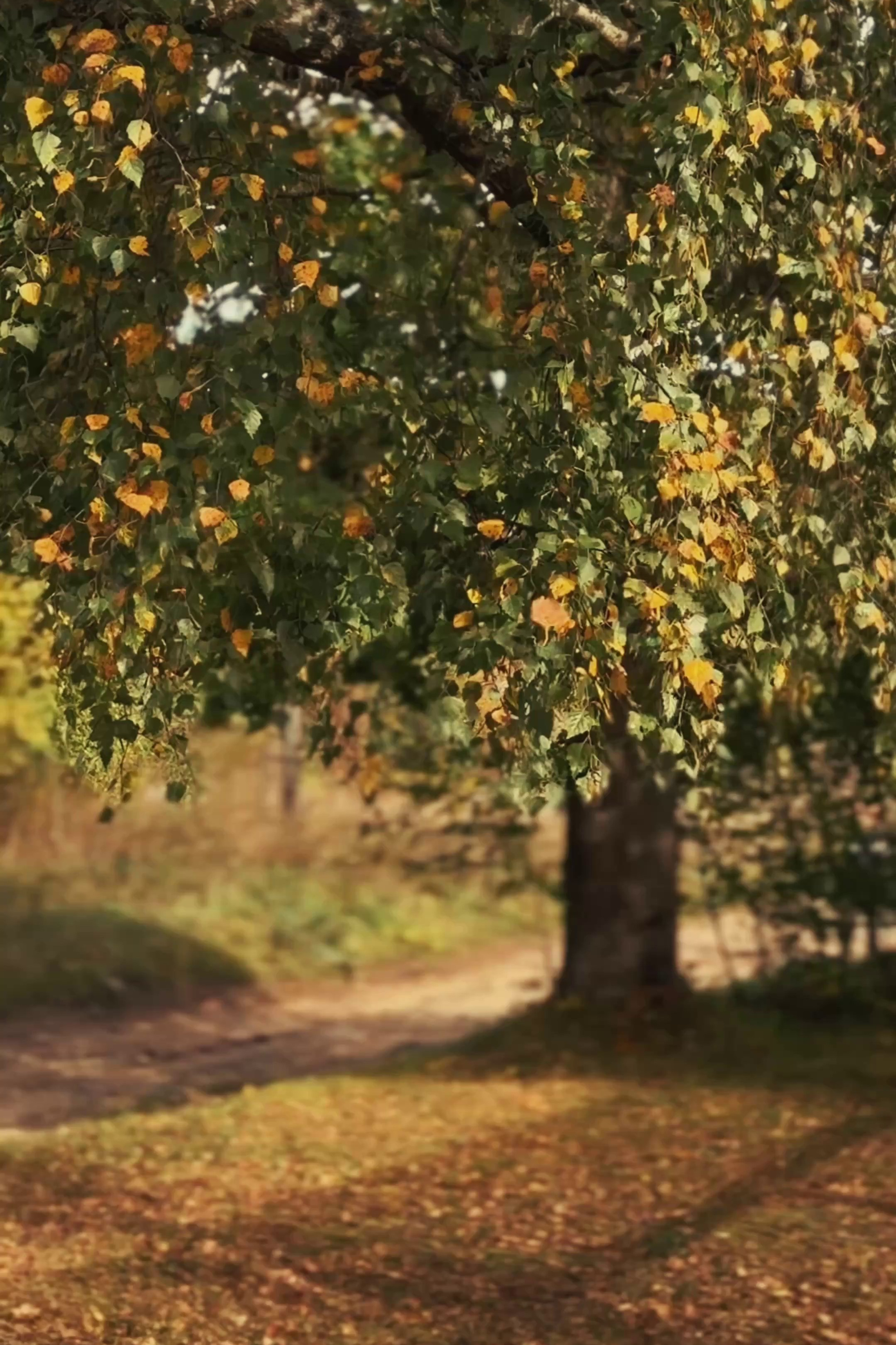 Истории. Куценкова Александра — детский, семейный фотограф в Москве