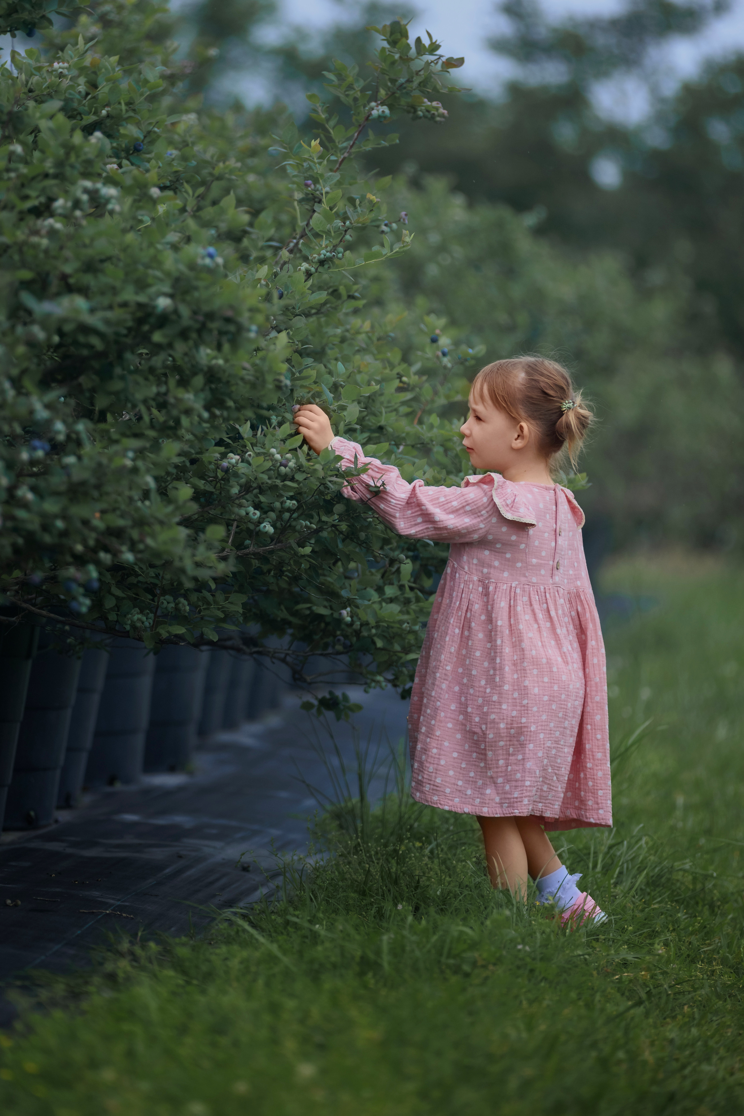 Истории. Куценкова Александра — детский, семейный фотограф в Москве
