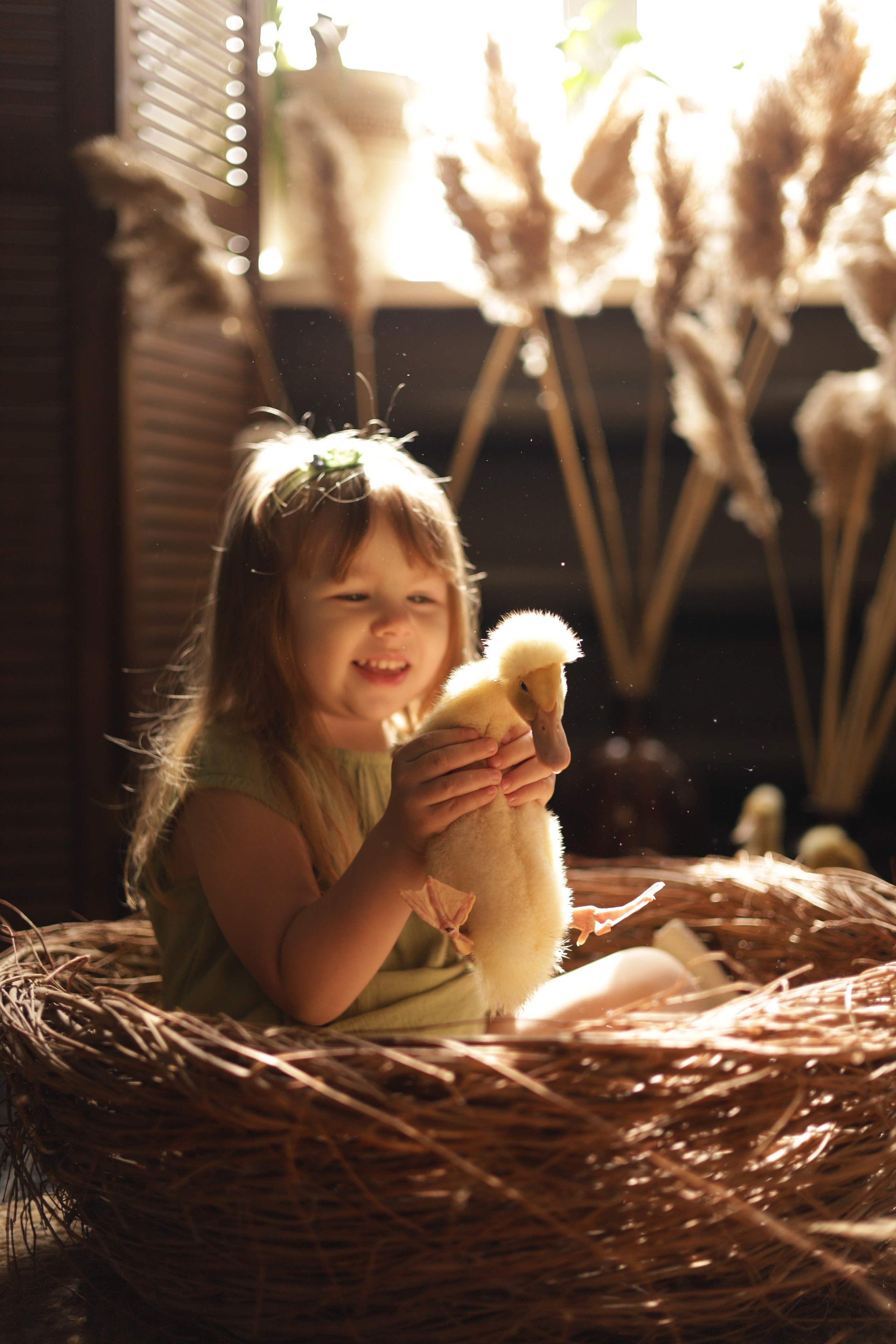 Анонсы. Фотограф новорожденных Саратов