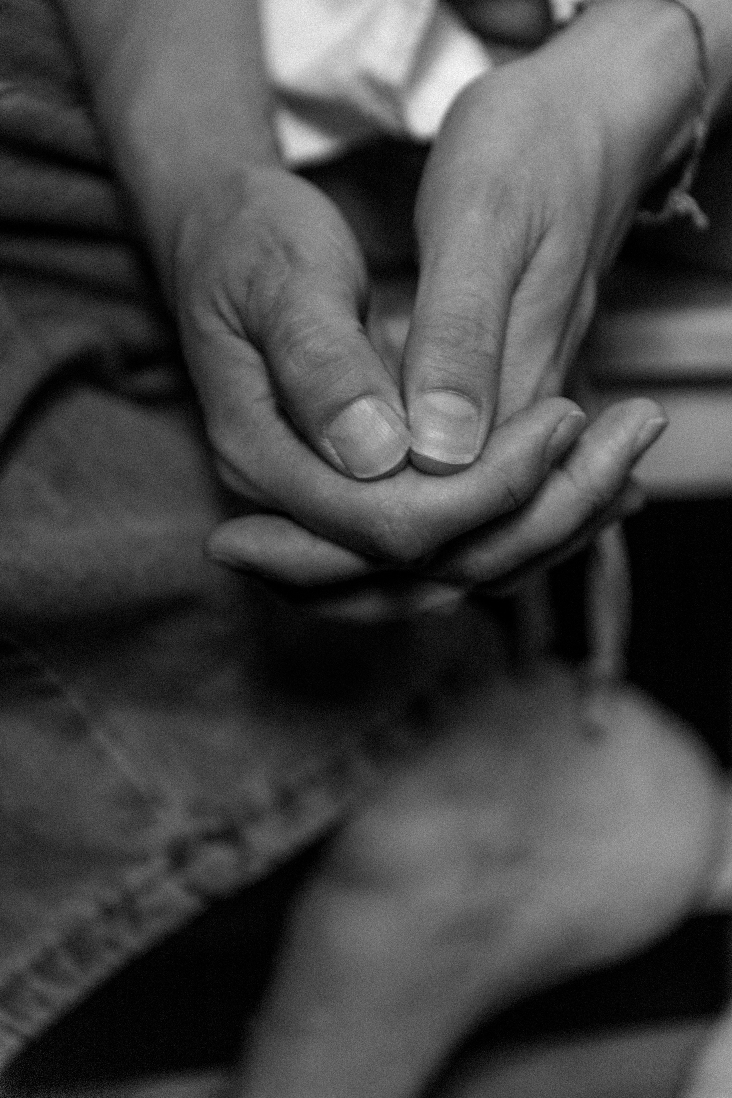 Варвара Зуева. Елена Мухортикова — индивидуальный портретный фотограф в Москве