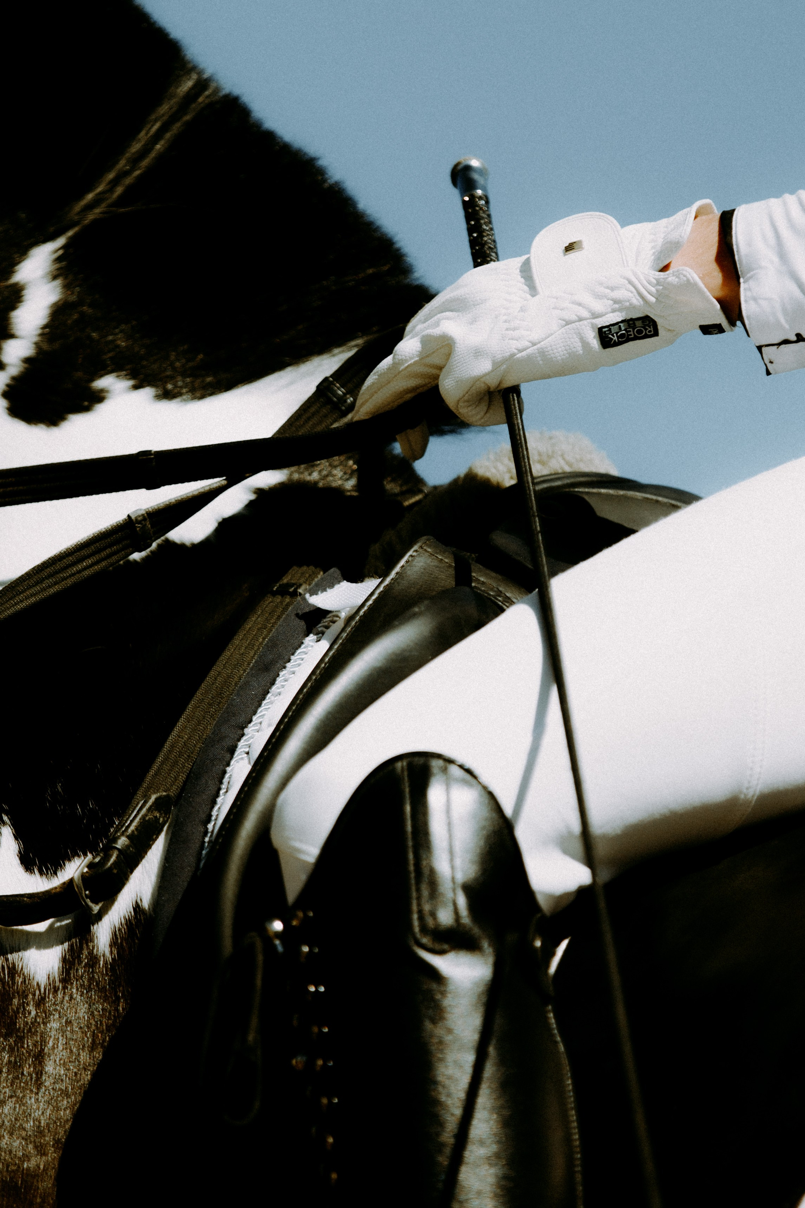 Спортивные съёмки (конкур, выездка)