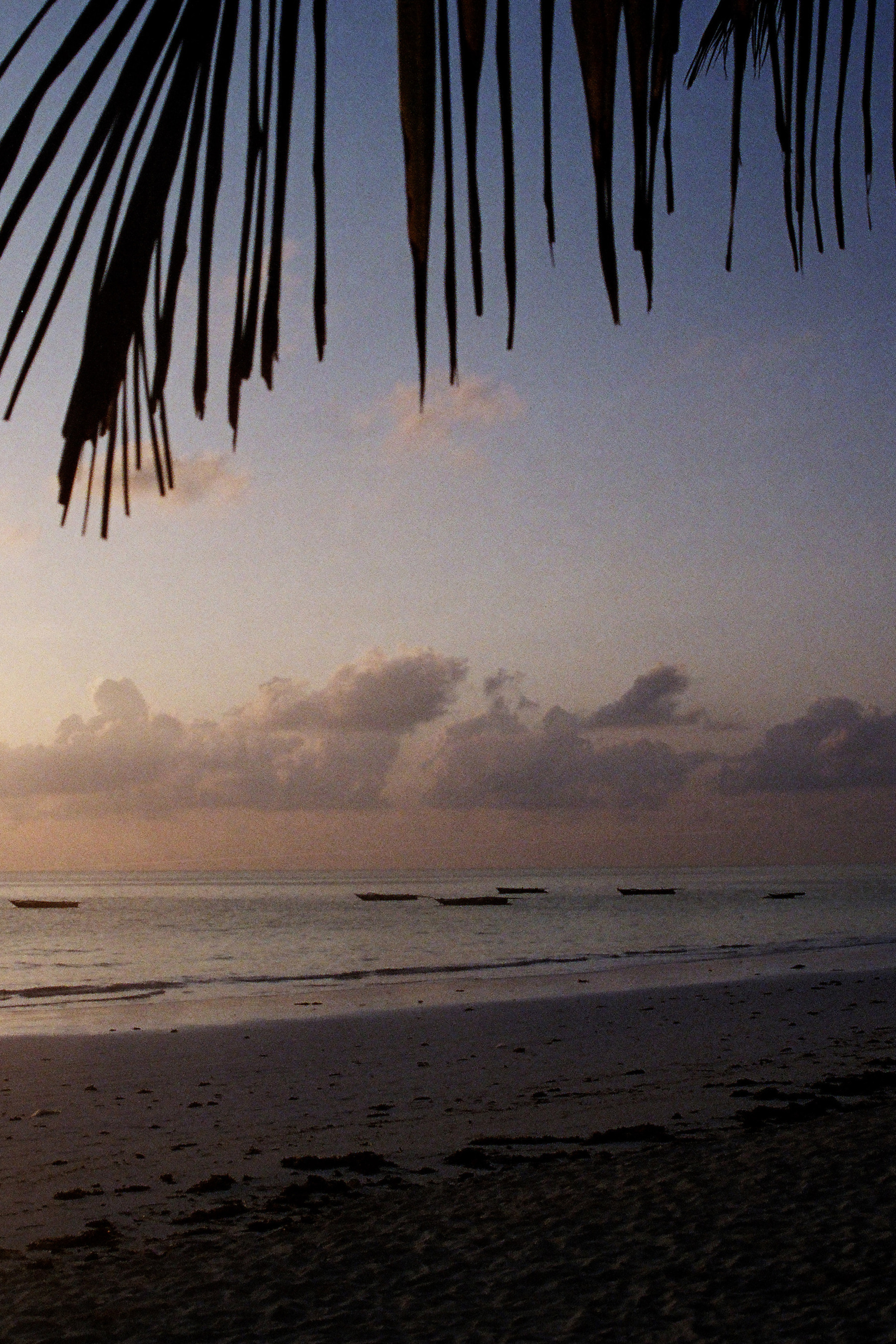 Занзибар, снятый на пленку 03.2021