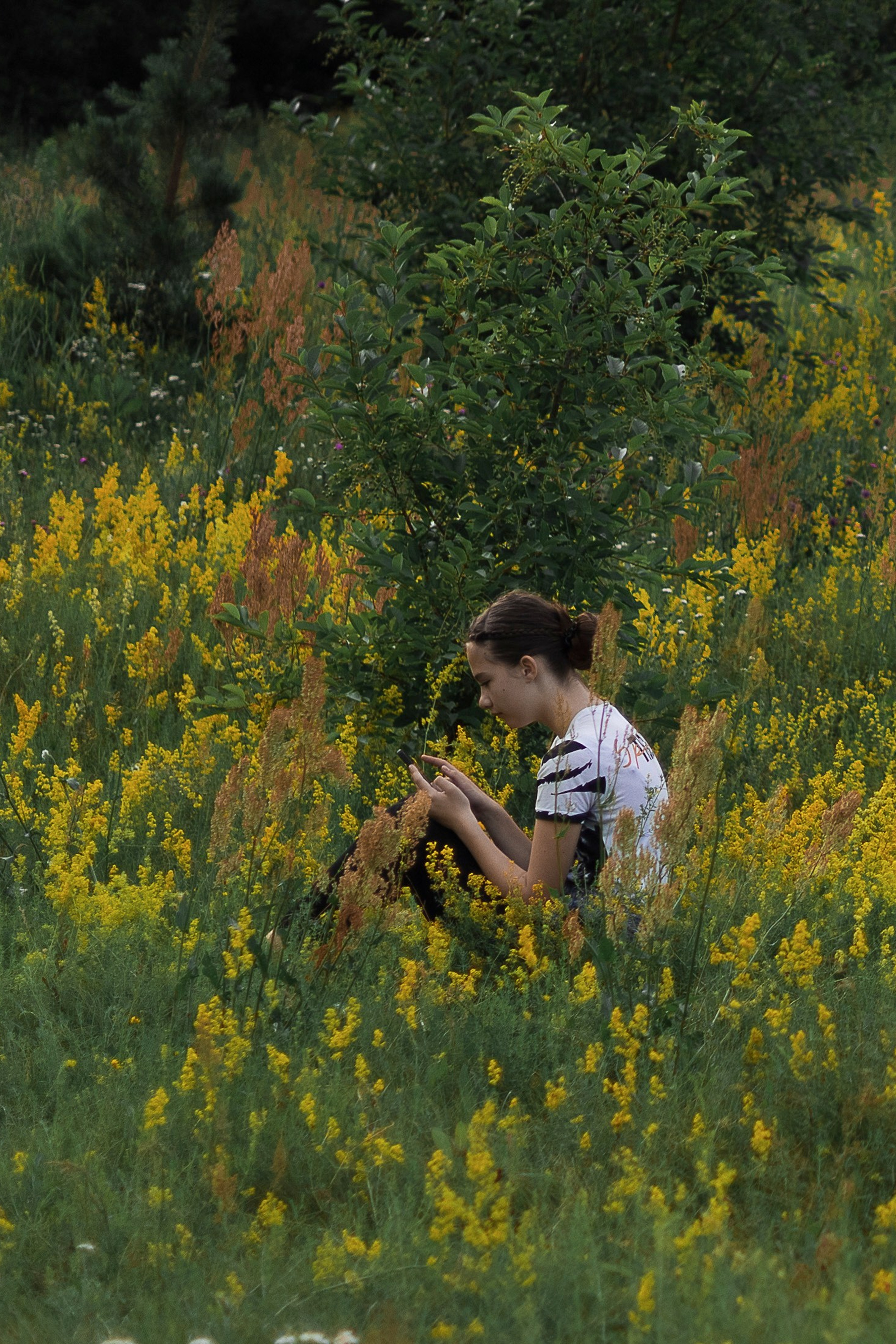 — Фестиваль цветов в усадьбе Быково