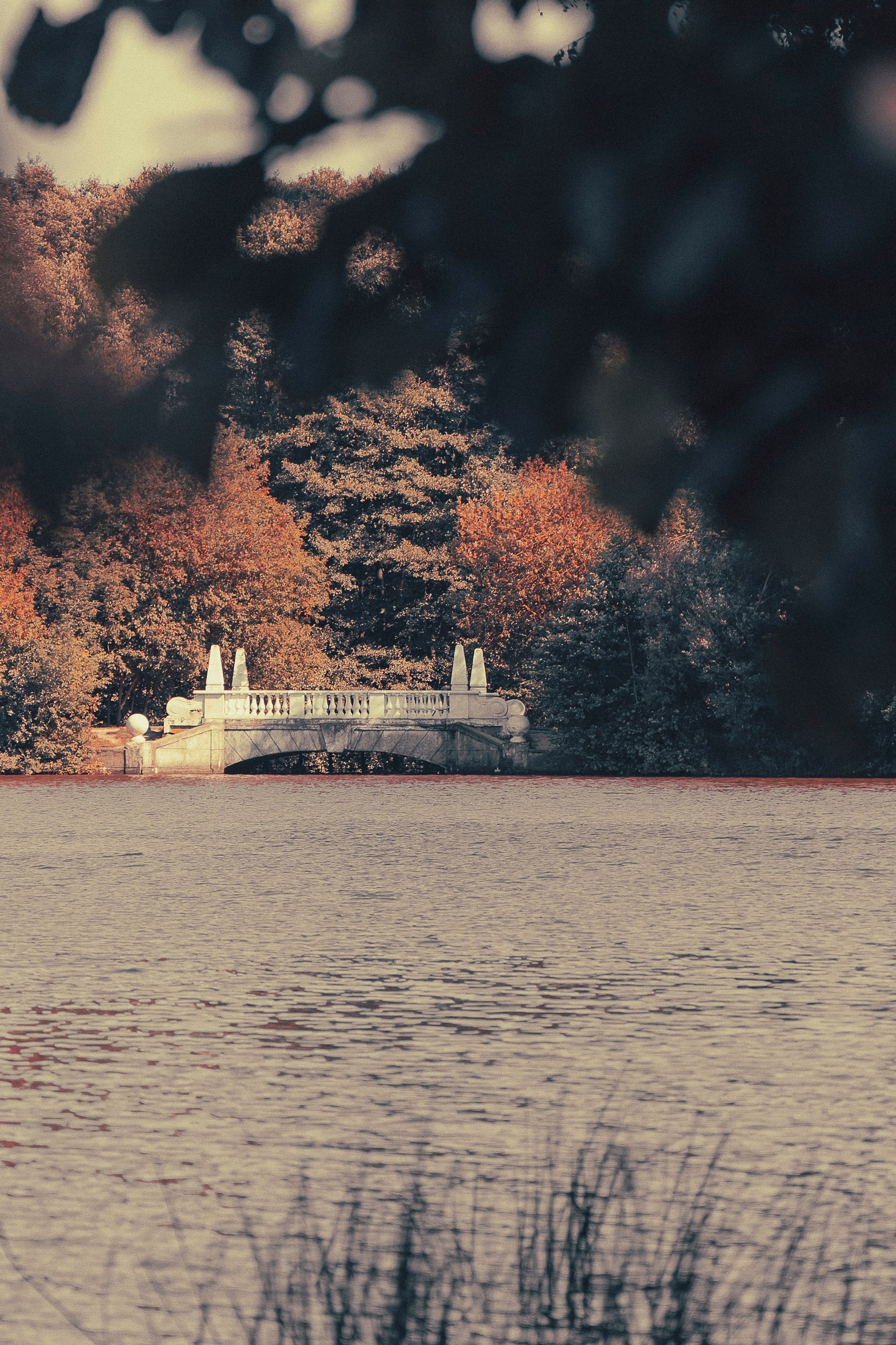 — Прогулка в Кратово