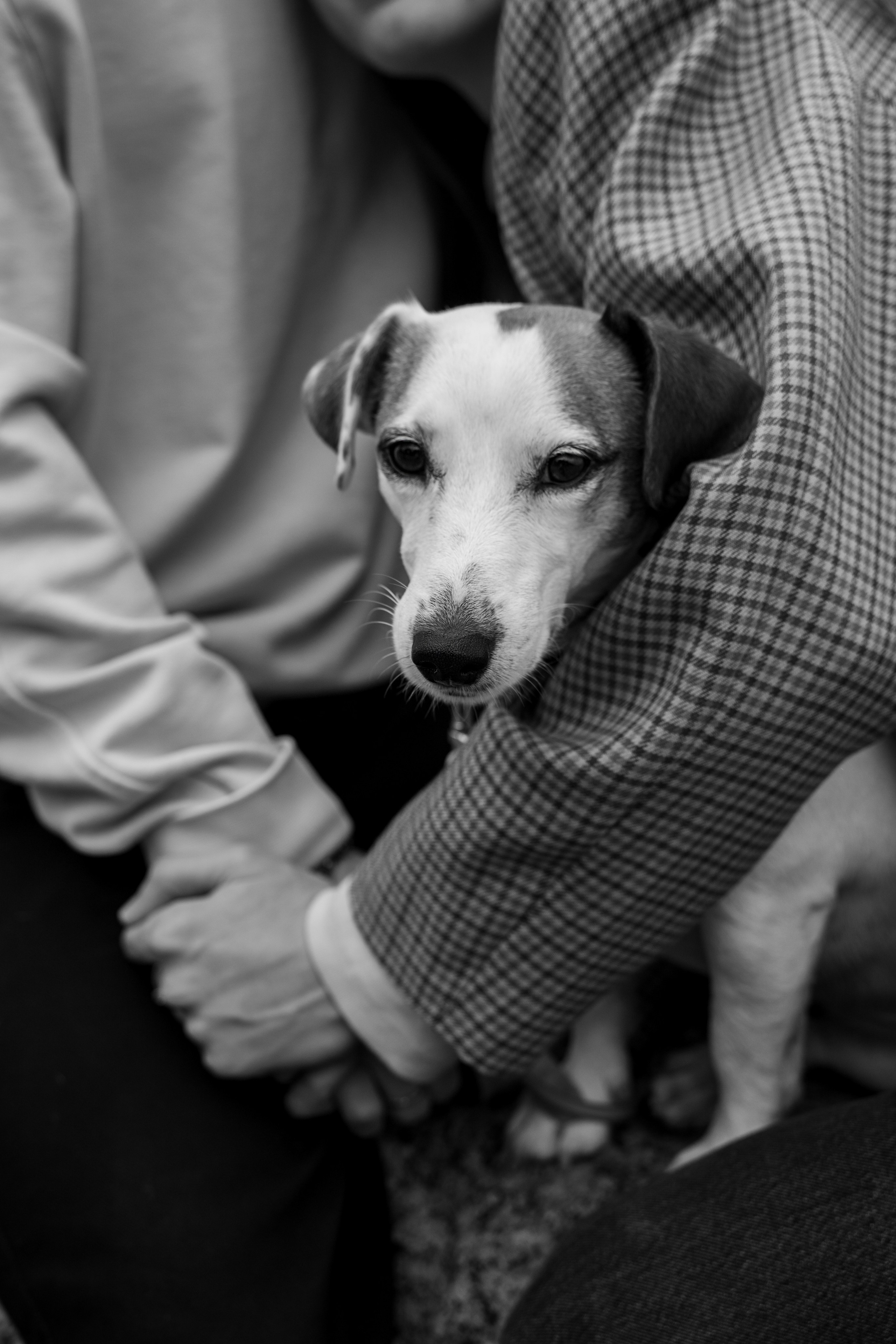 Маша, Даня, Луна