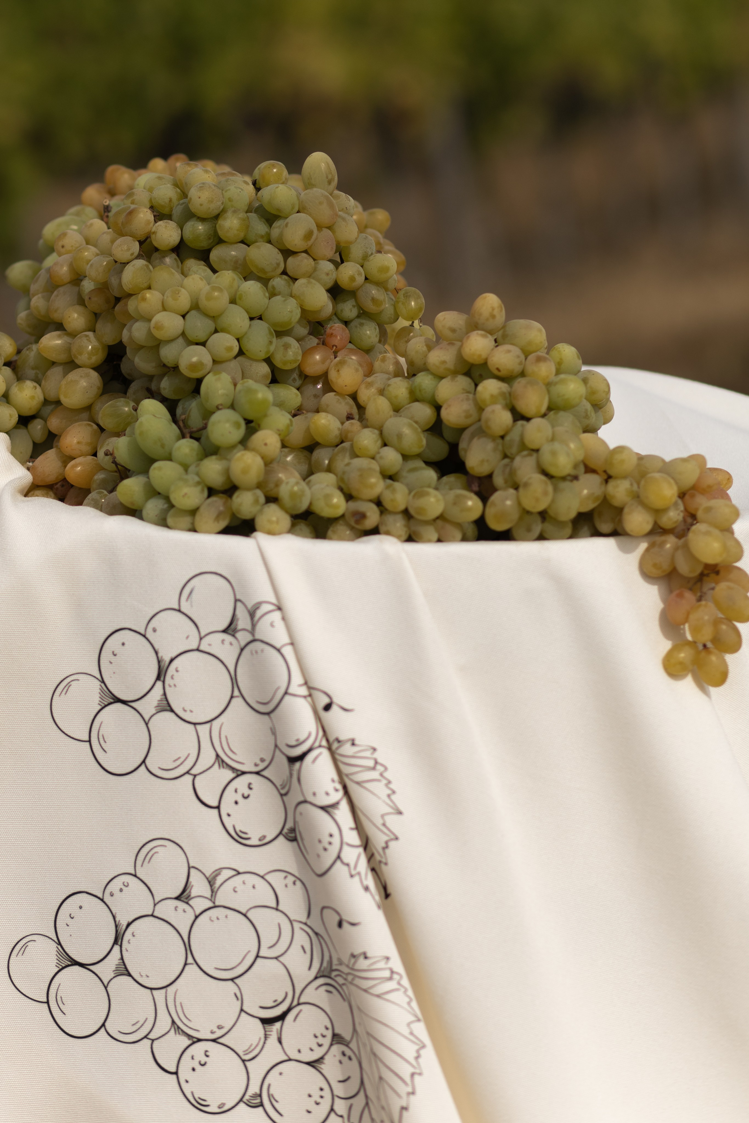 A&M. Свадебный фотограф в Краснодаре Алена Колесникова