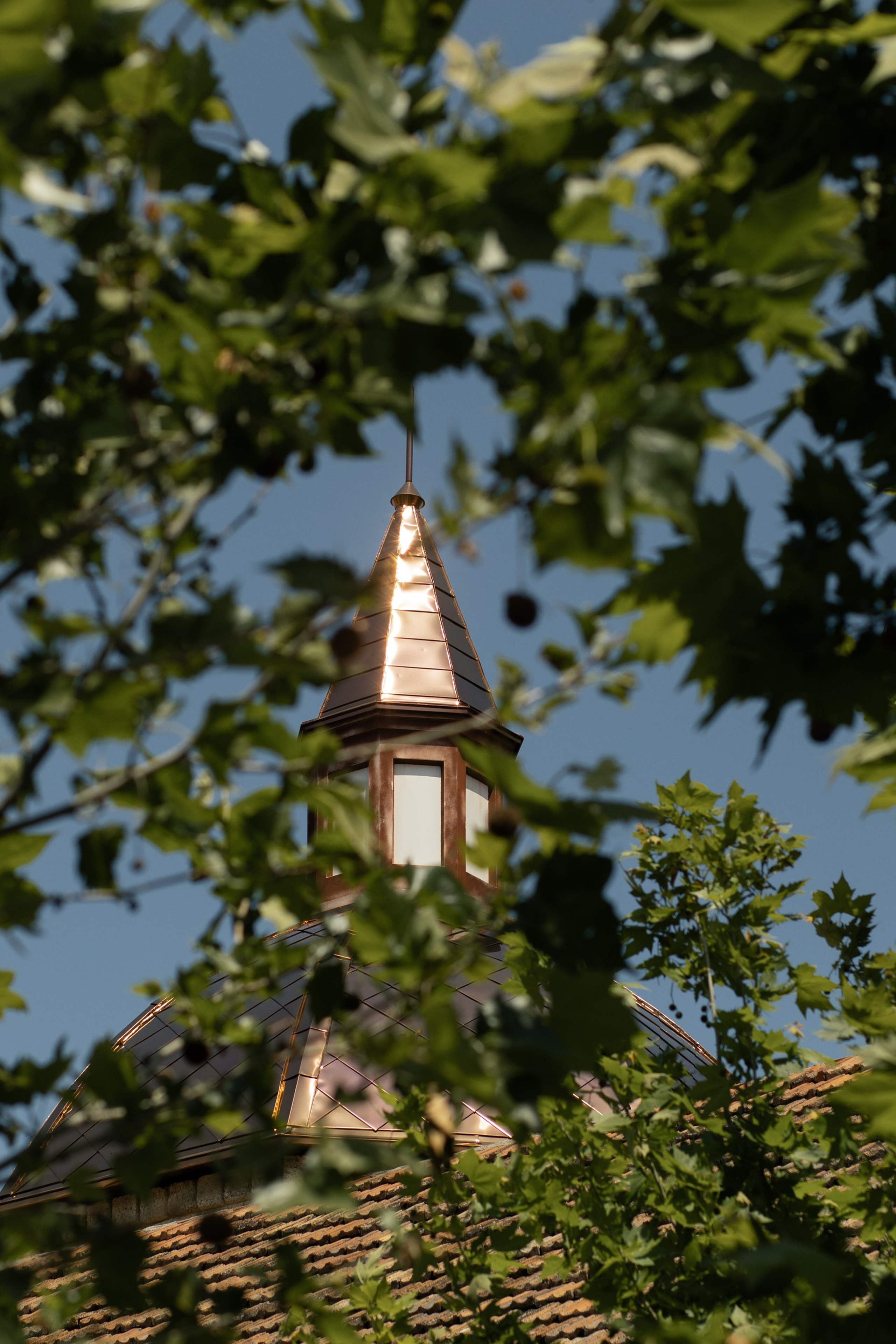 A&M. Свадебный фотограф в Краснодаре Алена Колесникова