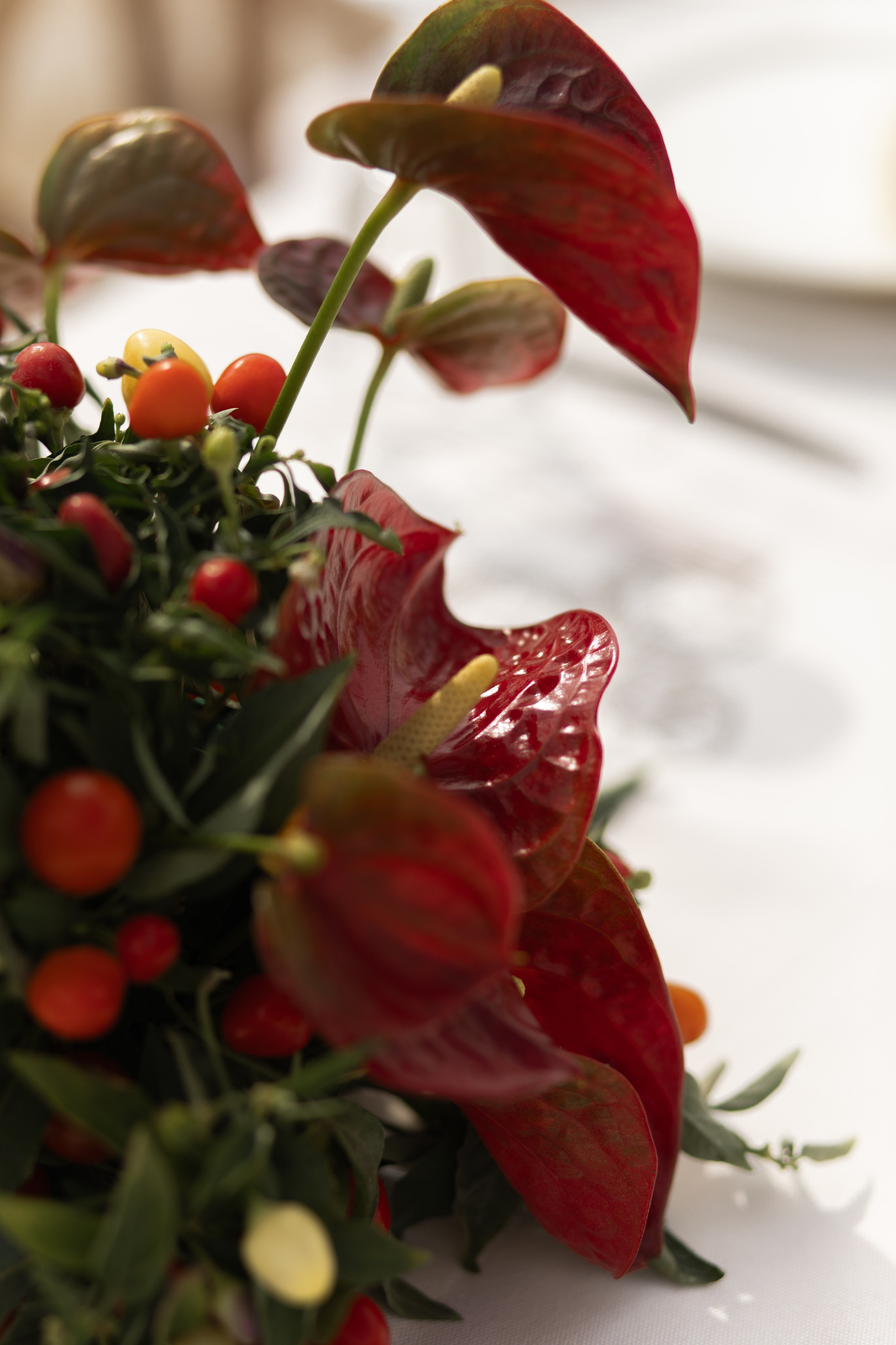 A&M. Свадебный фотограф в Краснодаре Алена Колесникова