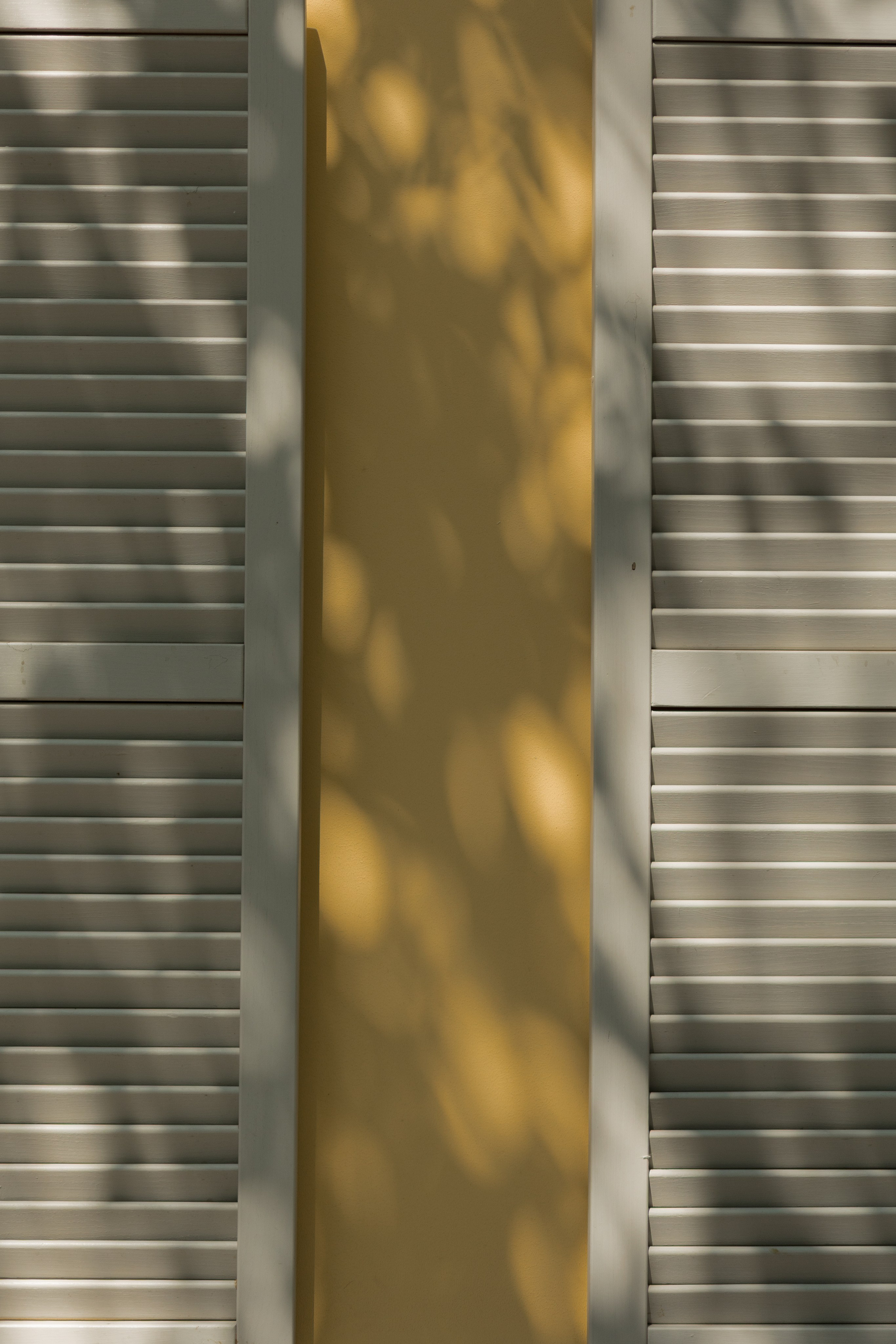 P&K. Свадебный фотограф в Краснодаре Алена Колесникова