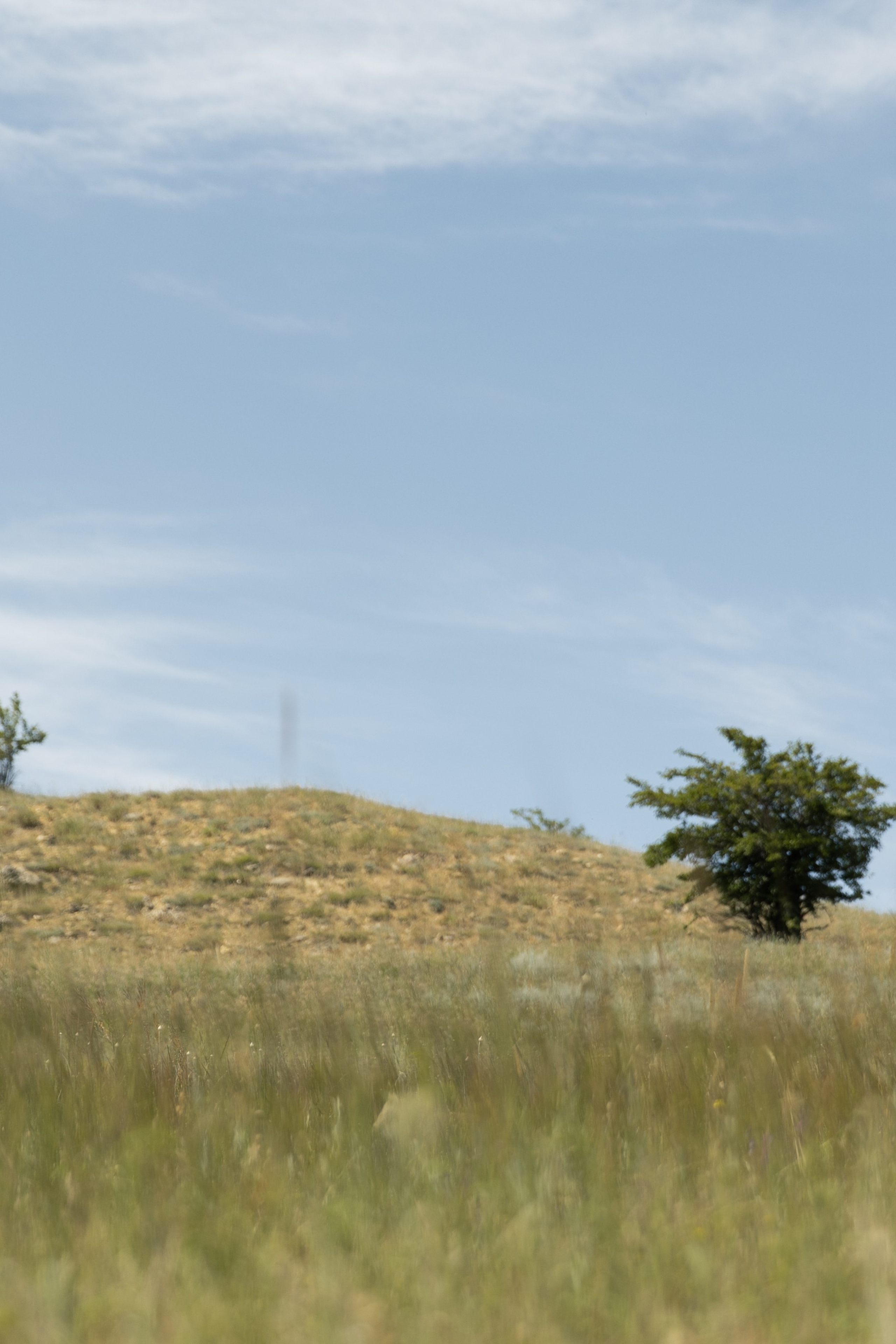 A&M. Свадебный фотограф в Краснодаре Алена Колесникова