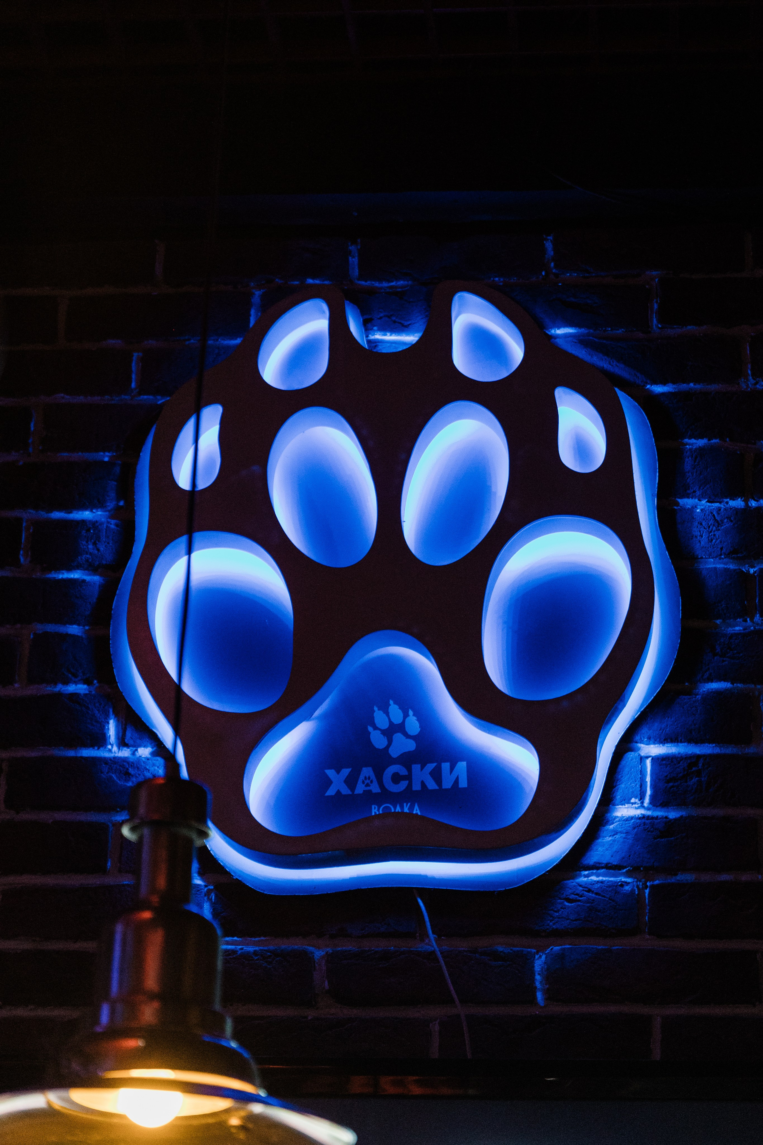 Кочка. Свадебный фотограф в Краснодаре Алена Колесникова