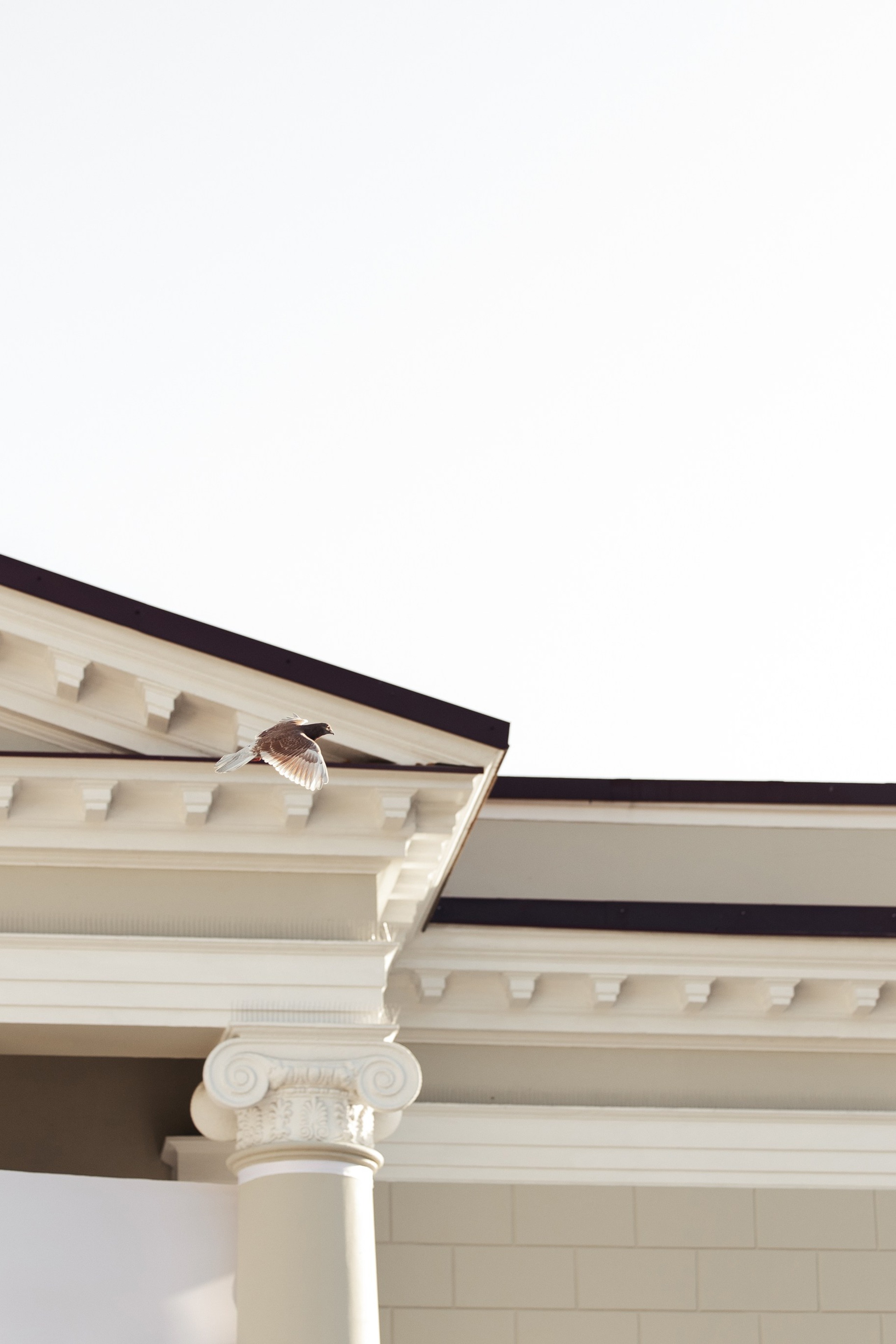 Wedding Awards South'25. Свадебный фотограф в Краснодаре Алена Колесникова