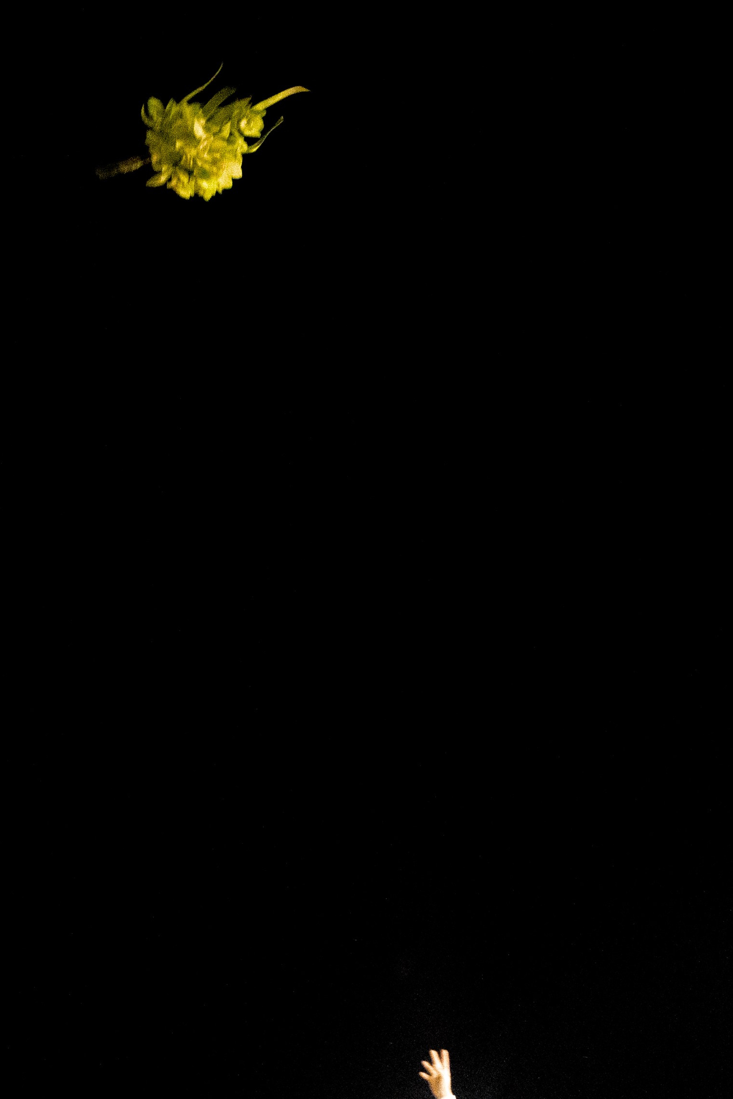 A&M. Свадебный фотограф в Краснодаре Алена Колесникова