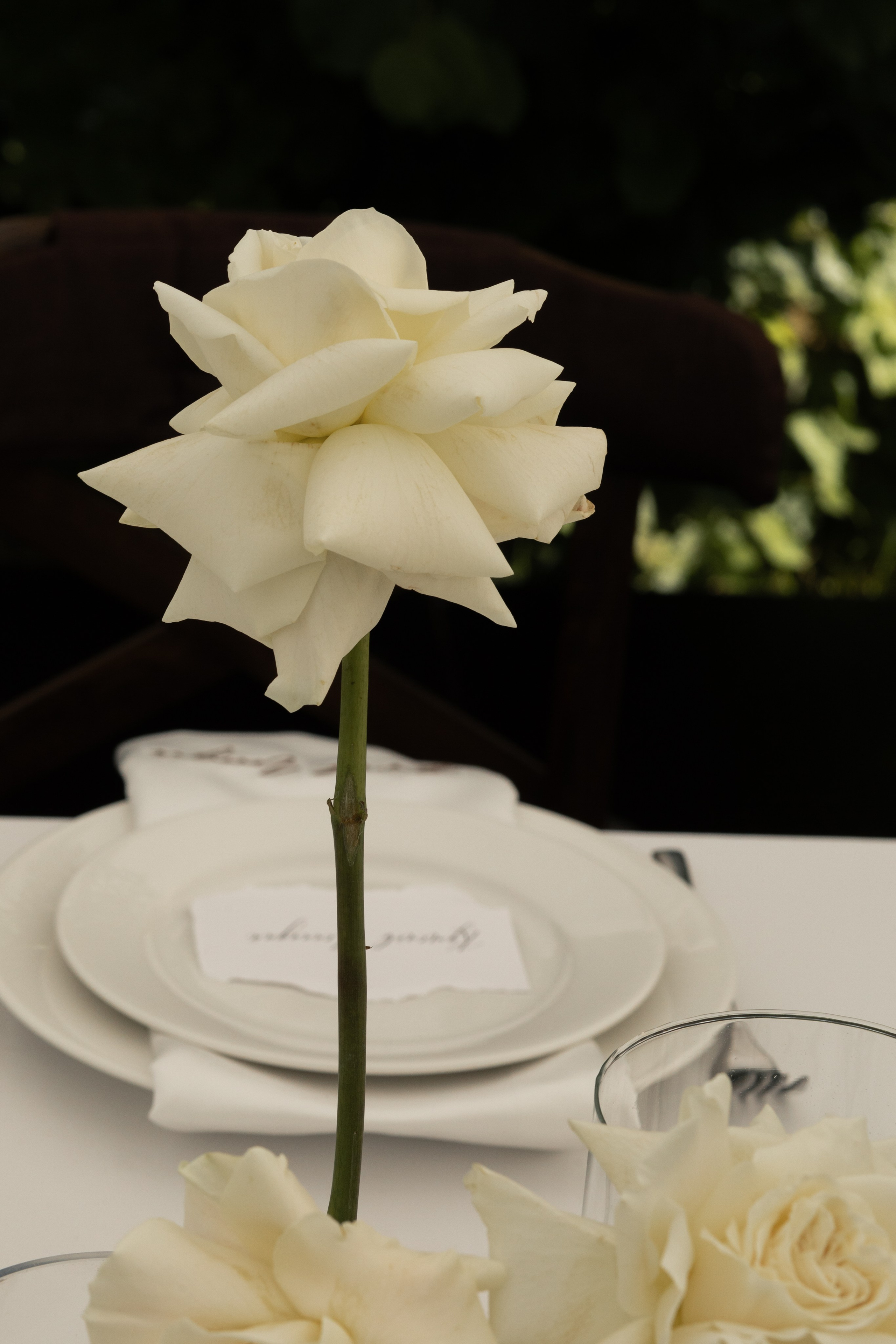 A&M. Свадебный фотограф в Краснодаре Алена Колесникова