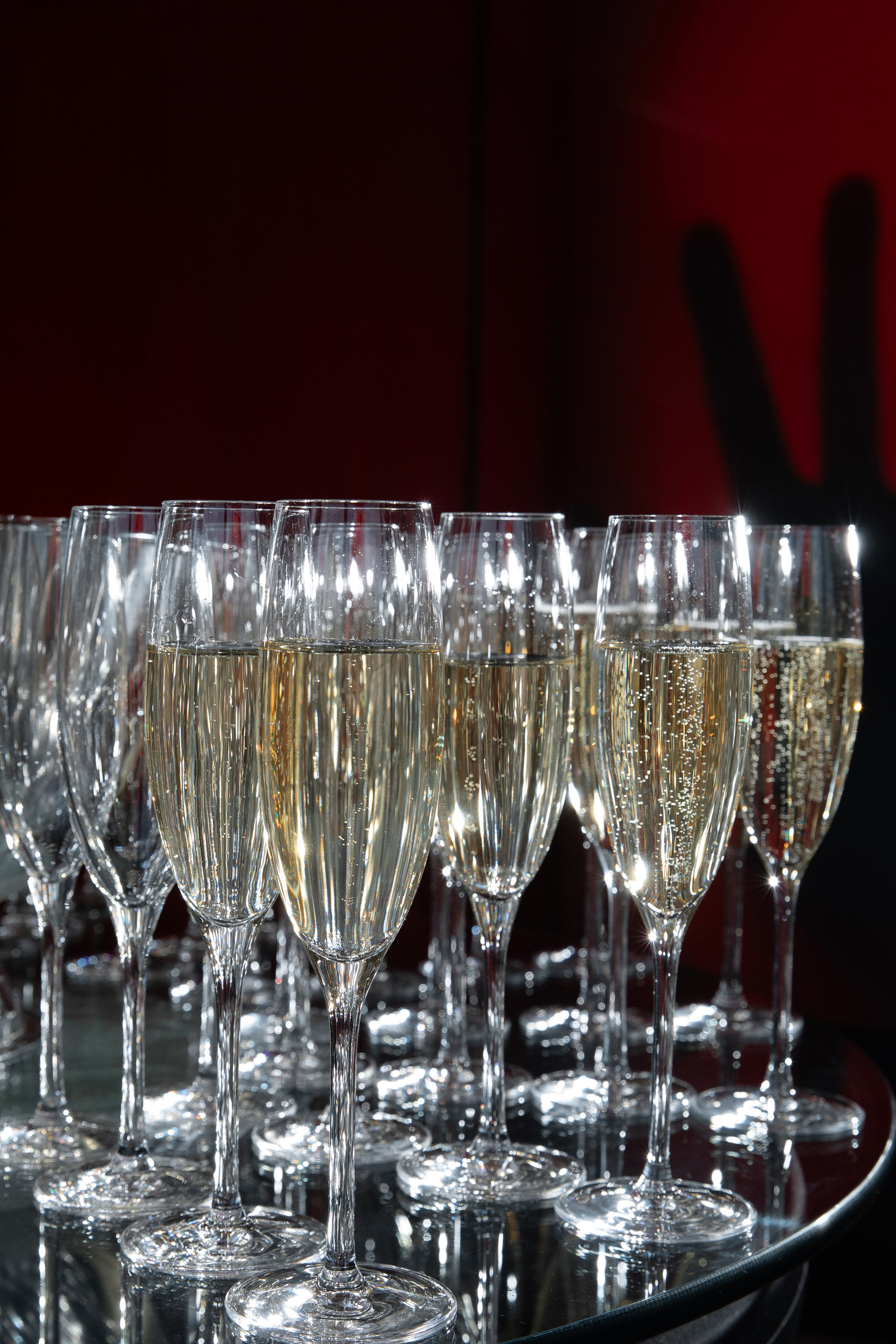 Wedding Awards South'25. Свадебный фотограф в Краснодаре Алена Колесникова