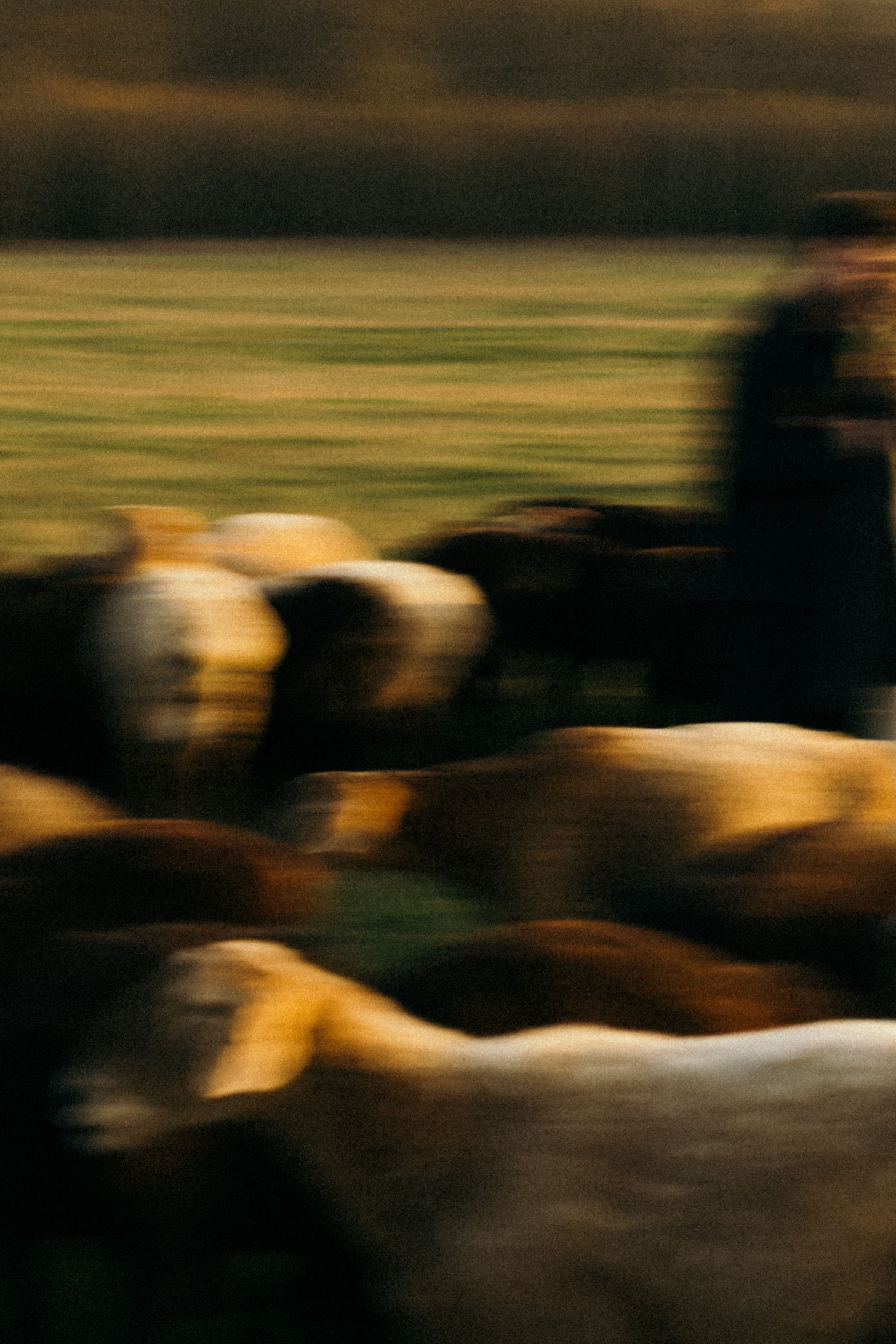 DIM. Свадебный фотограф в Краснодаре Алена Колесникова