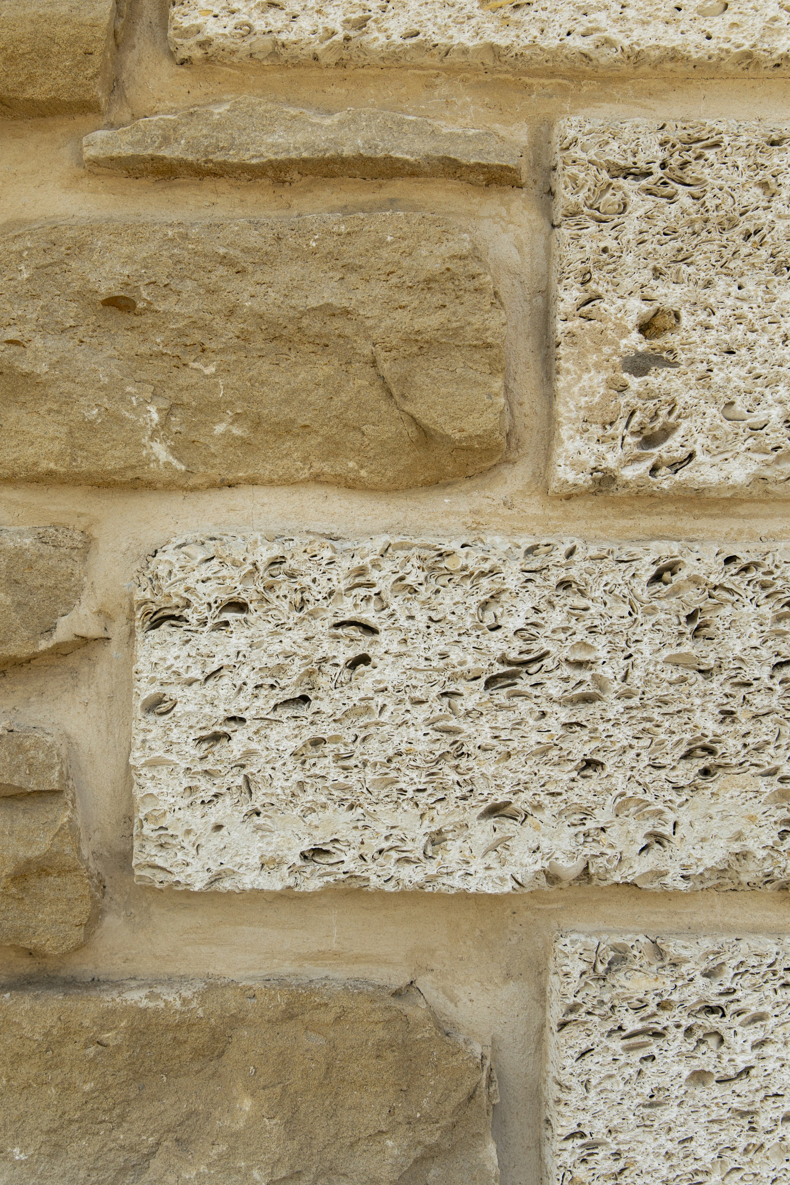 A&M. Свадебный фотограф в Краснодаре Алена Колесникова