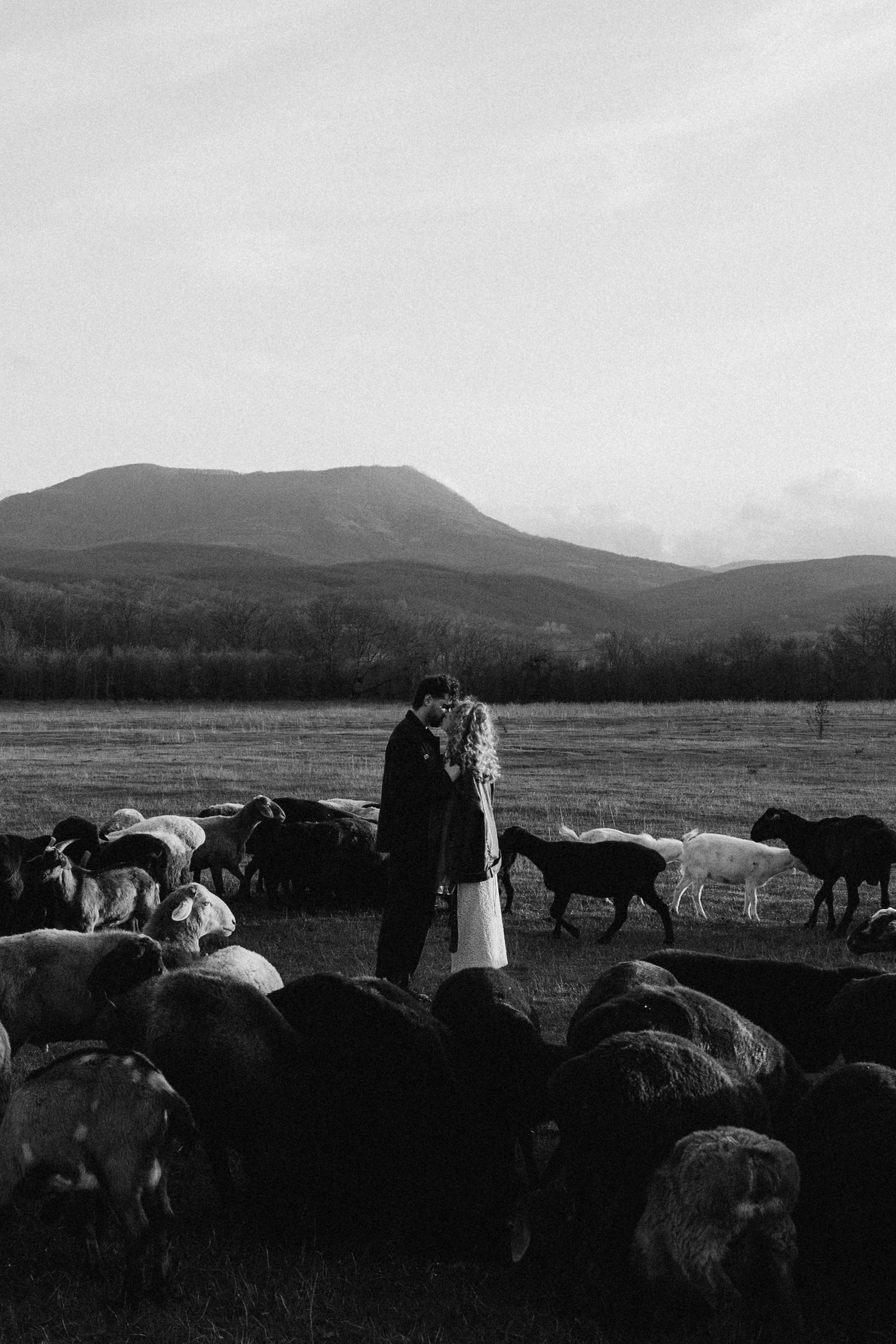 DIM. Свадебный фотограф в Краснодаре Алена Колесникова
