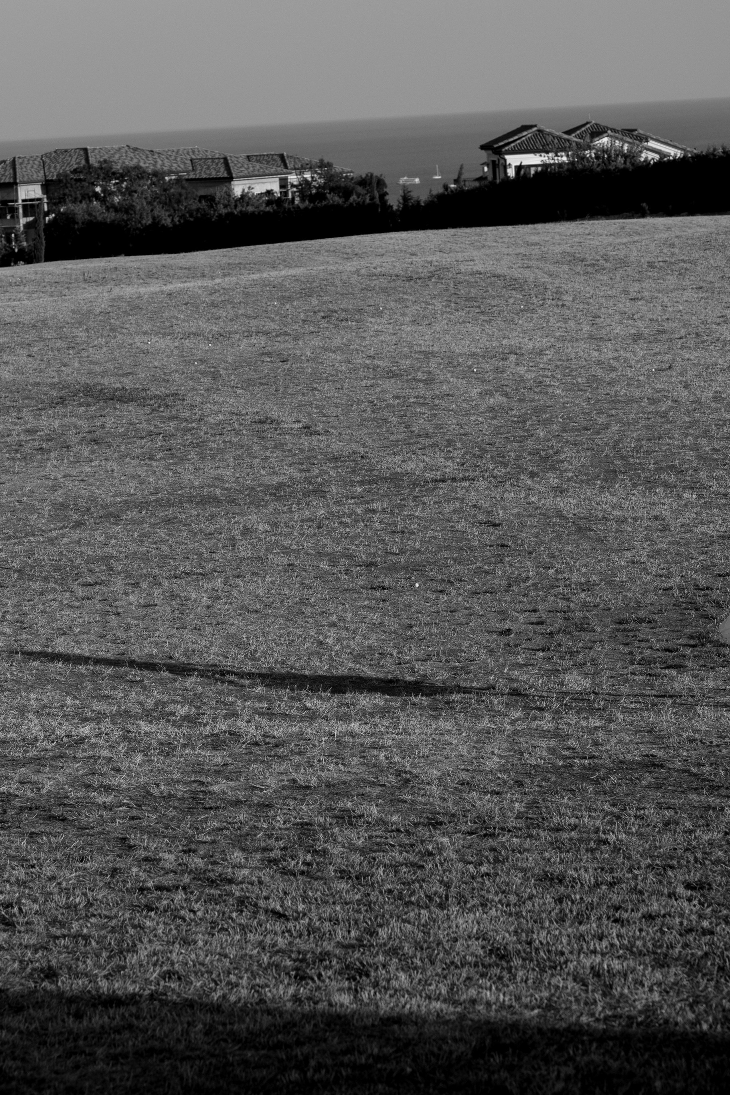 I&R. Свадебный фотограф в Краснодаре Алена Колесникова