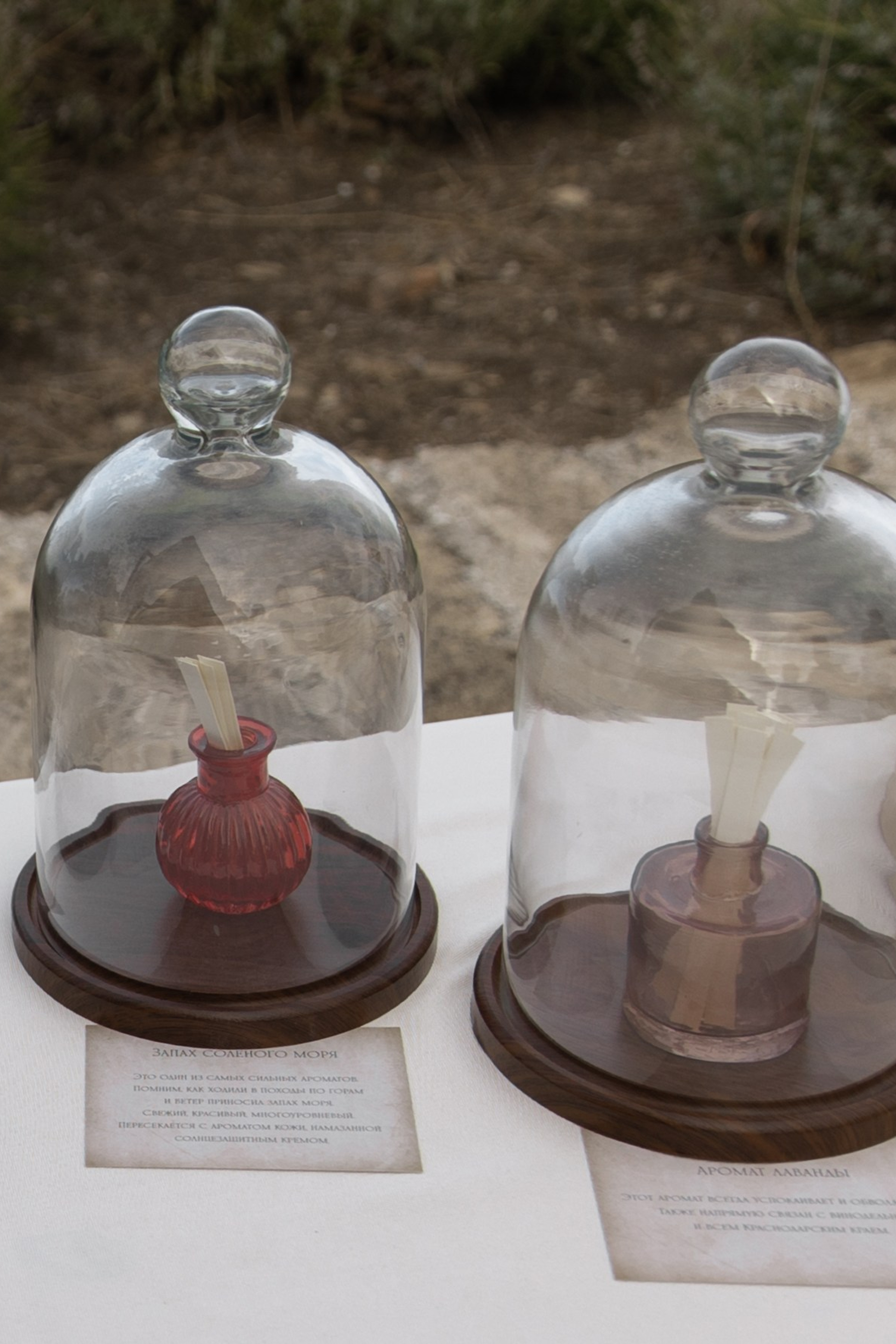 A&M. Свадебный фотограф в Краснодаре Алена Колесникова