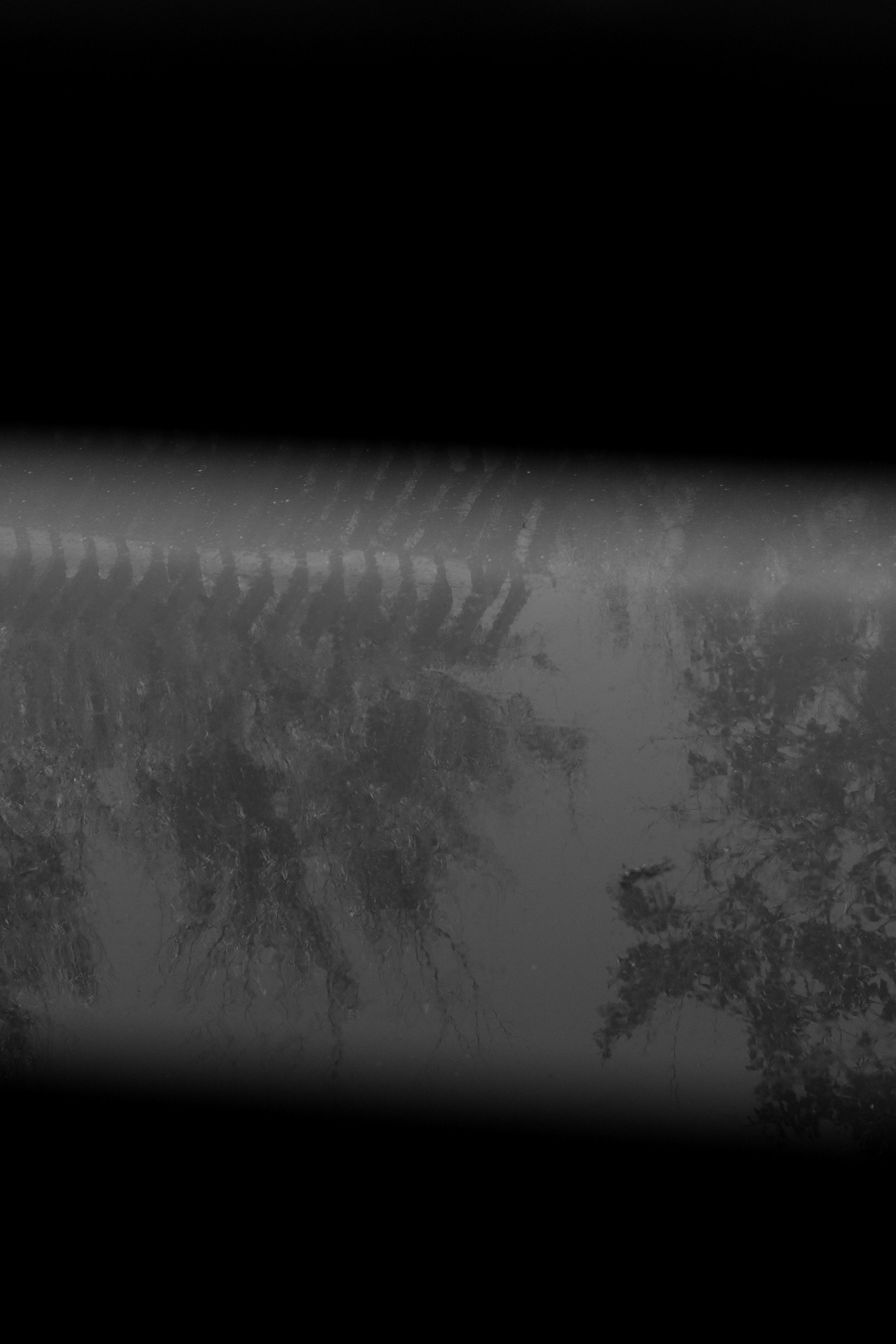 A&M. Свадебный фотограф в Краснодаре Алена Колесникова