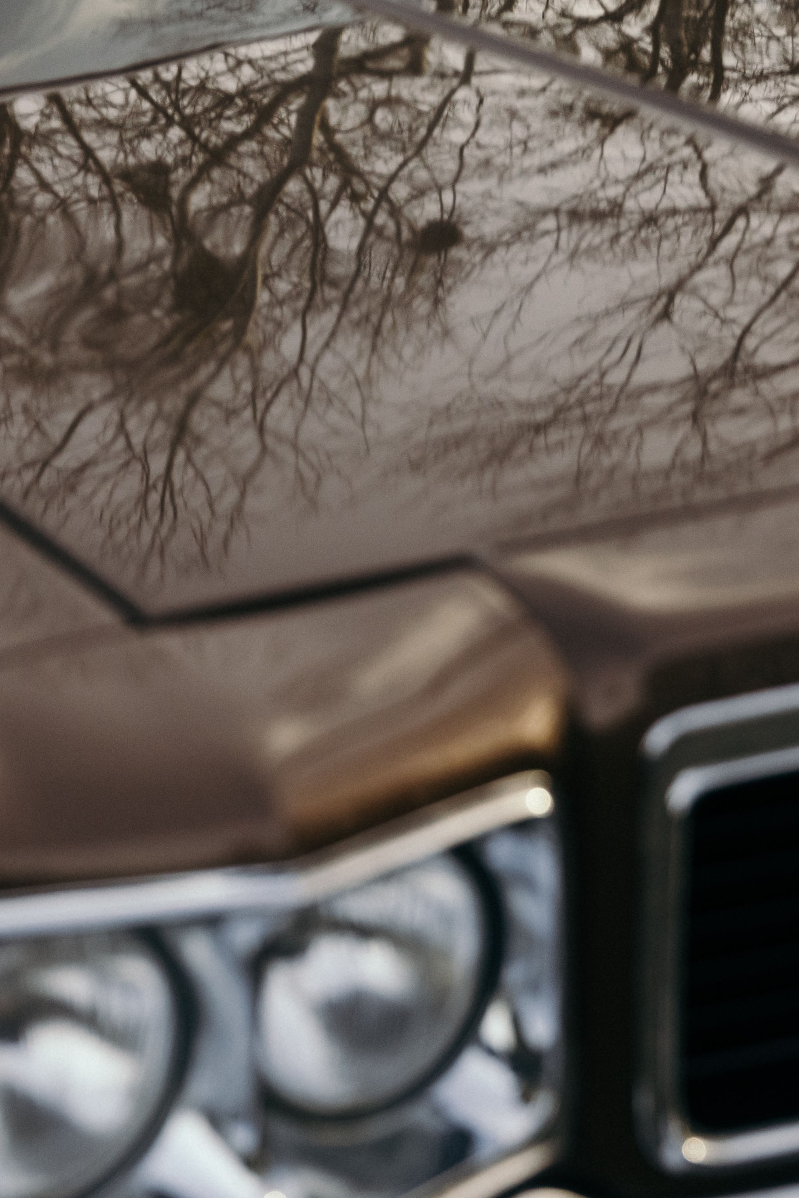 DIM. Свадебный фотограф в Краснодаре Алена Колесникова