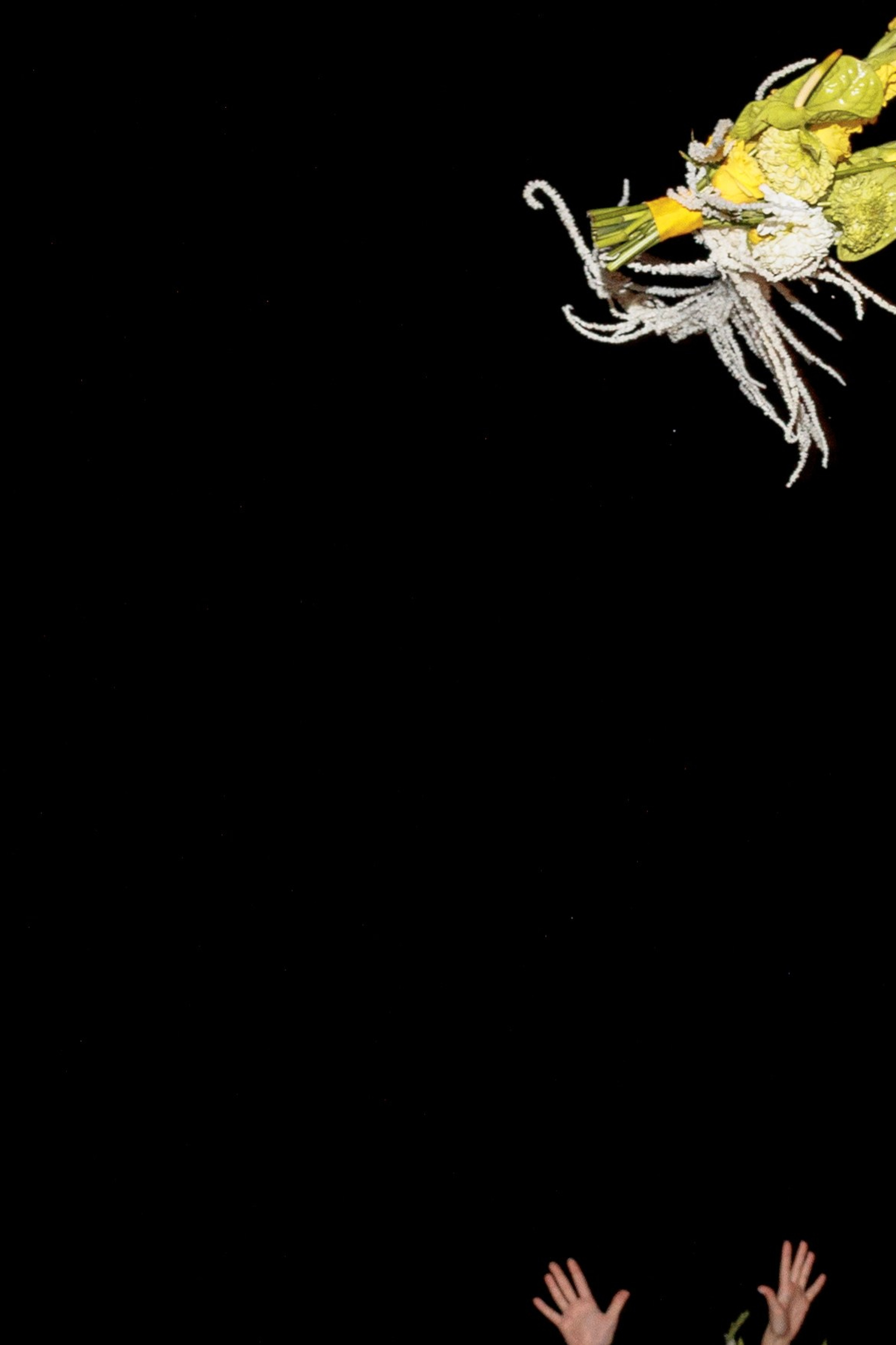 Свадебный фотограф в Краснодаре Алена Колесникова