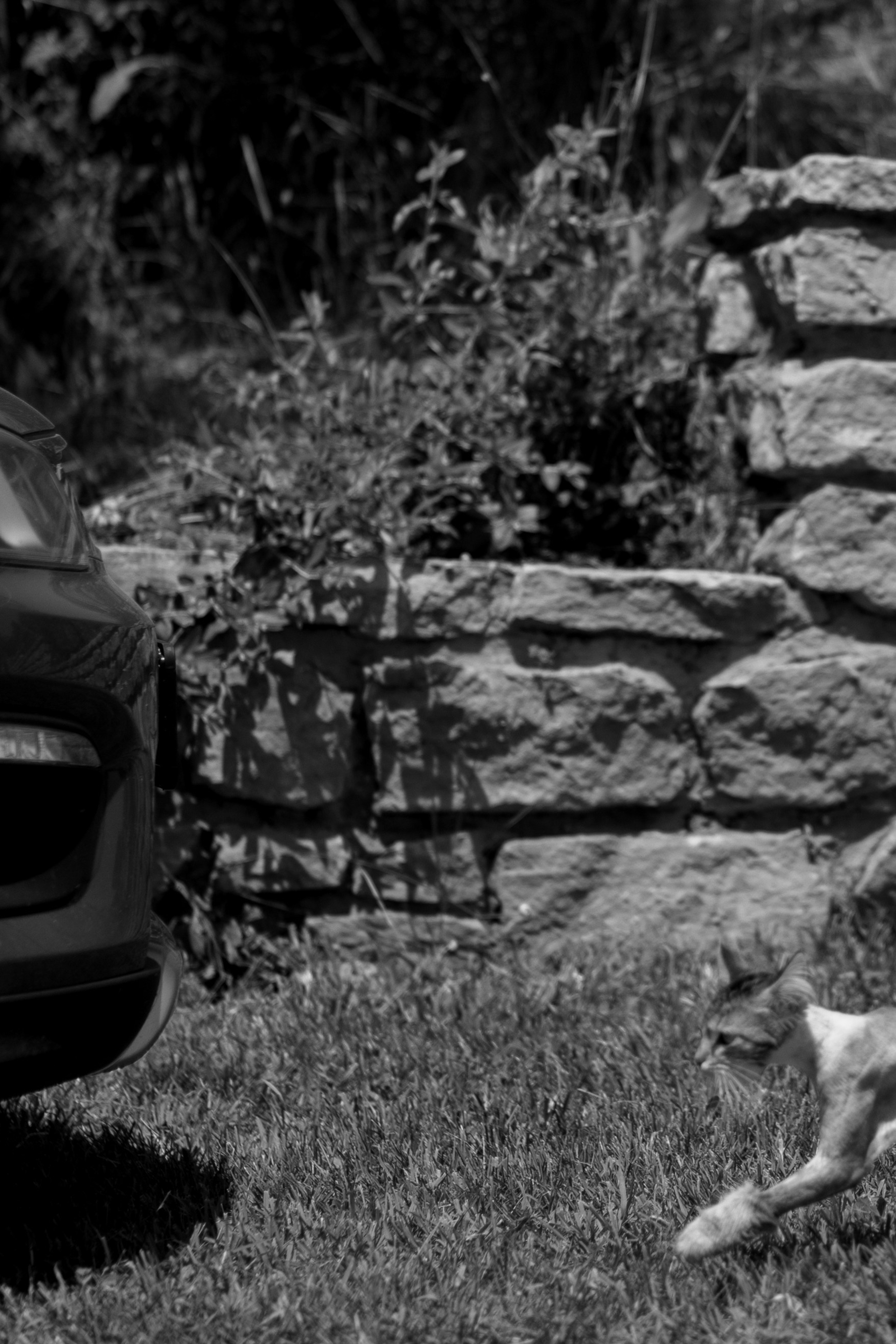 A&M. Свадебный фотограф в Краснодаре Алена Колесникова